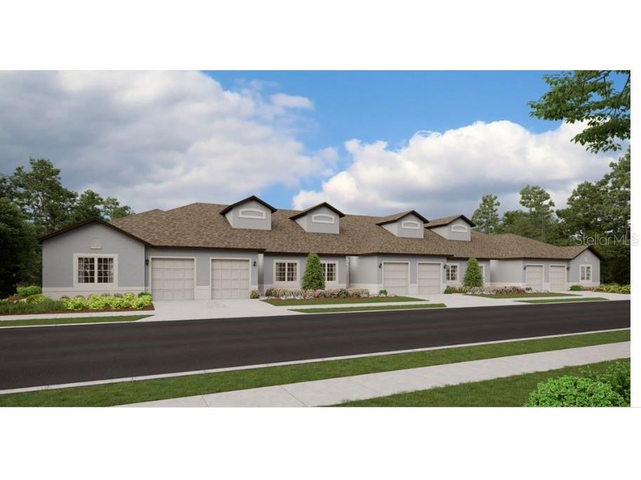 6828 Ripple Pond Loop Zephyrhills FL 33541 T3434548 image1