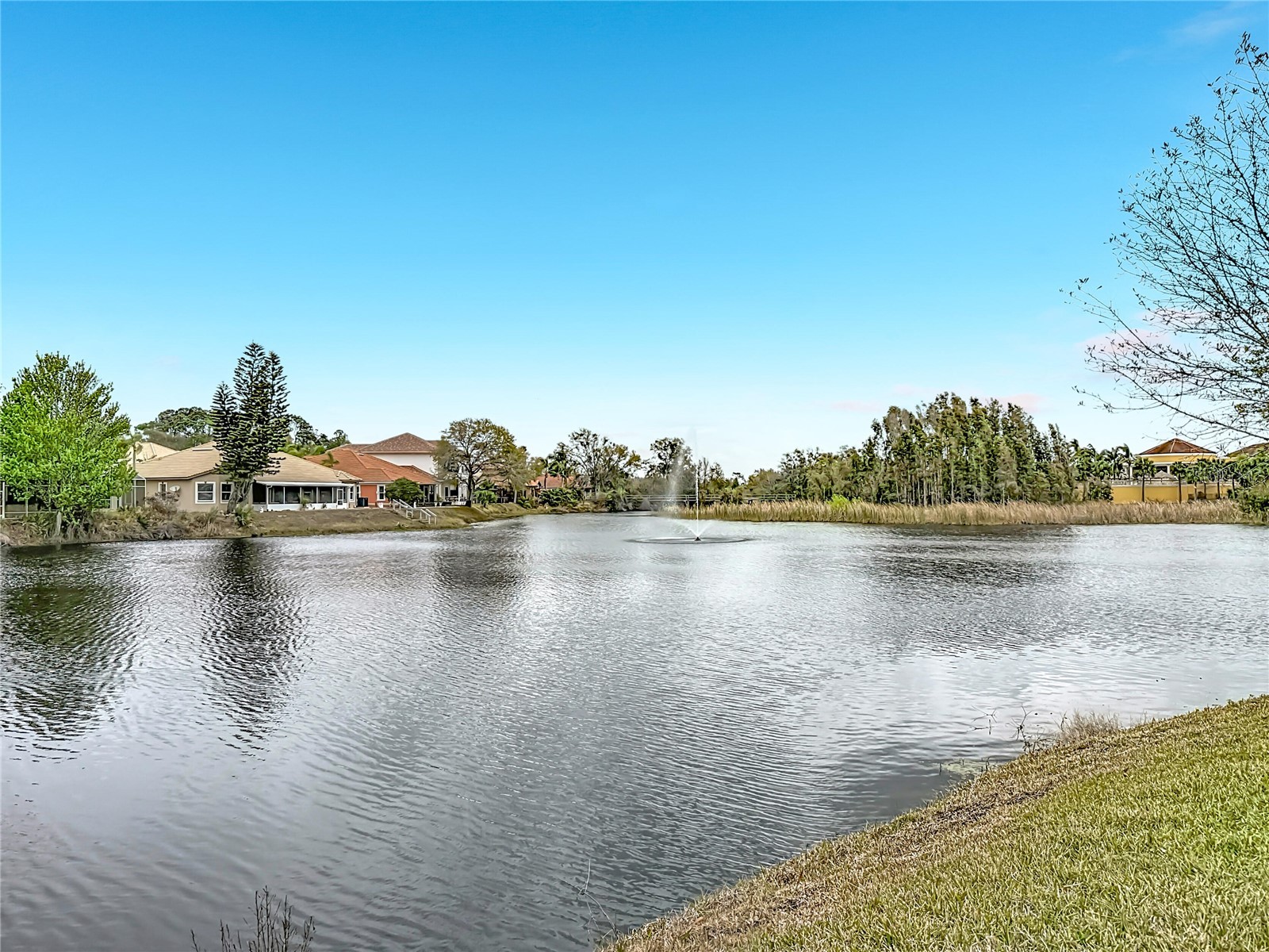 6828 Sombras Way Land O Lakes FL 34637 O6387749 image15