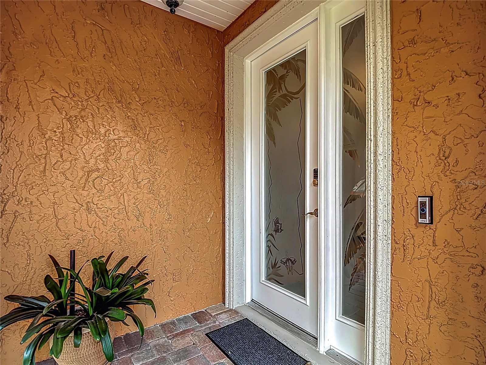 6828 Sombras Way Land O Lakes FL 34637 O6387749 image5