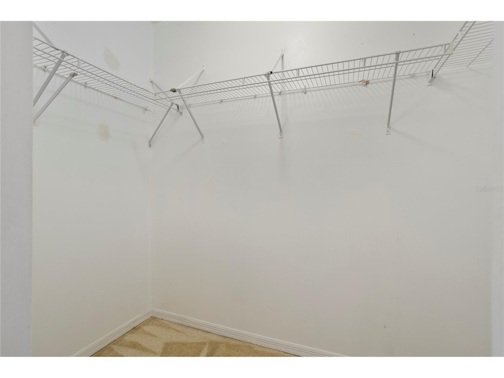 6828 Woodgrain Court Ocoee FL 34761 S5153951 image22