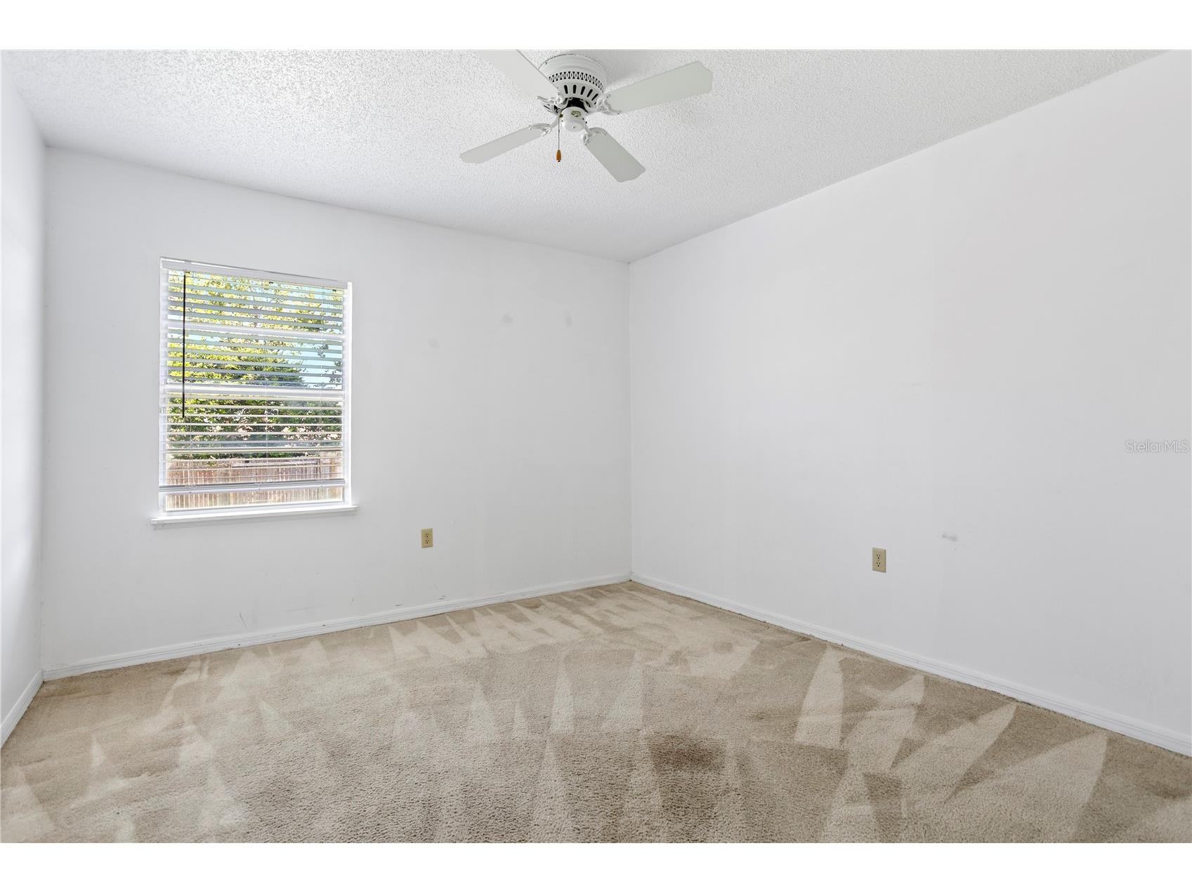 6828 Woodgrain Court Ocoee FL 34761 S5153951 image23