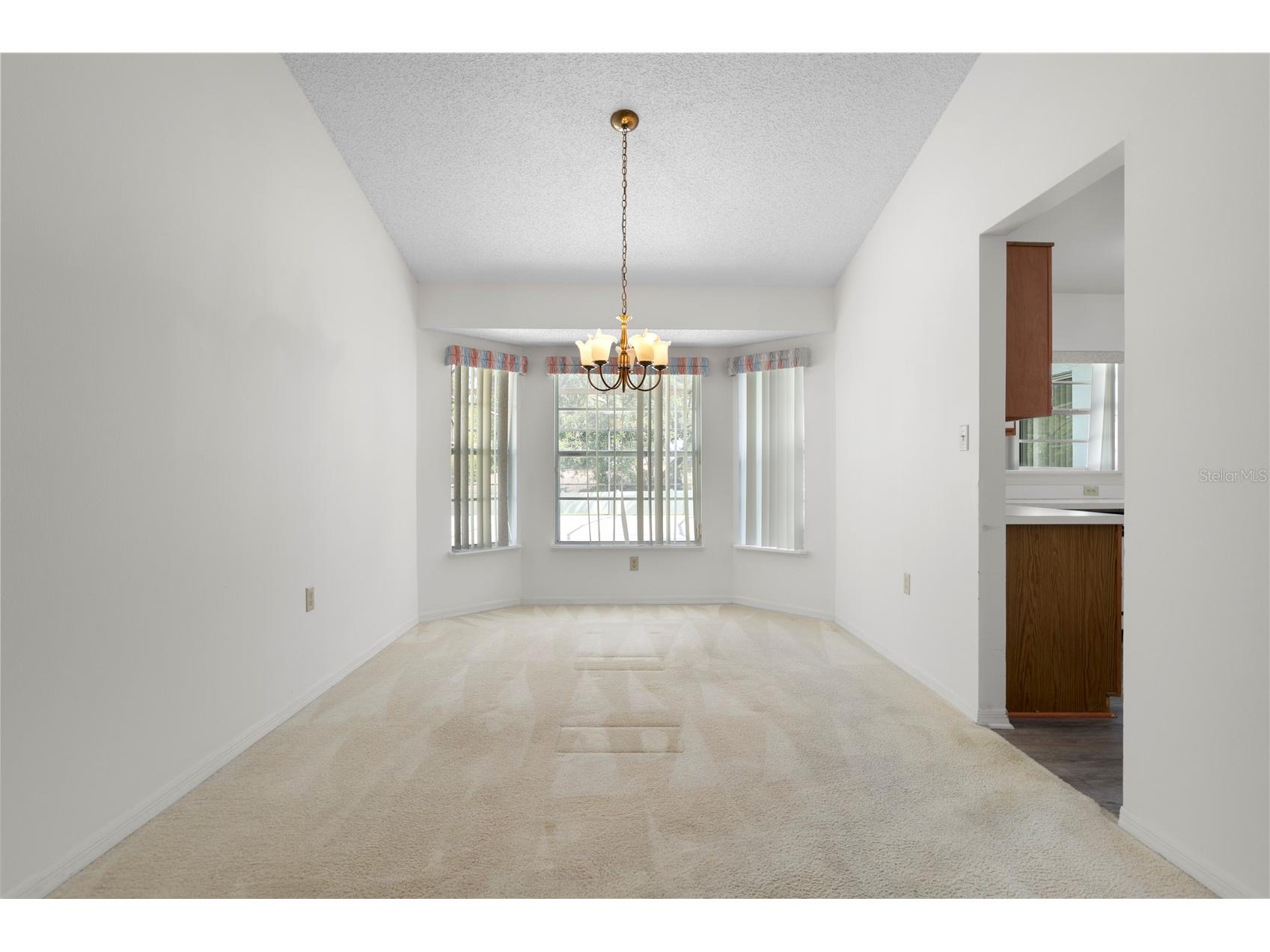 6828 Woodgrain Court Ocoee FL 34761 S5153951 image9