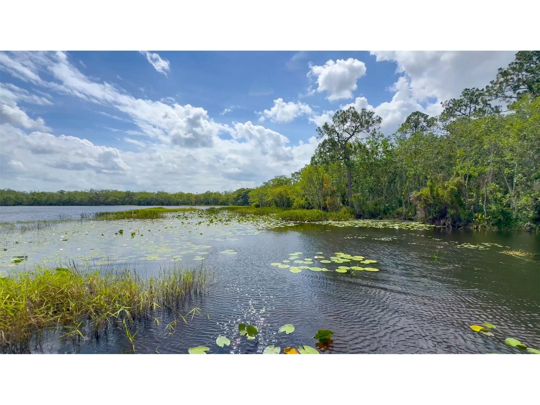 6829 Sundrop Street Harmony FL 34773 S5141573 image65