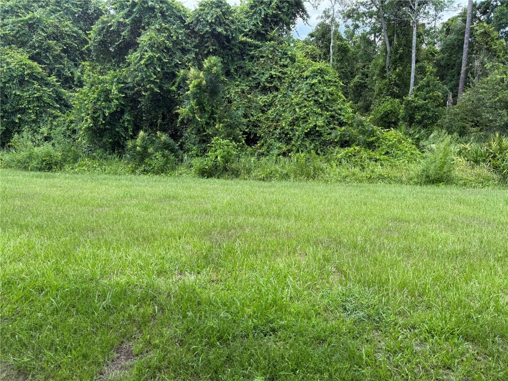 683 Bay Leaf Drive Kissimmee FL 34759 S5132837 image23