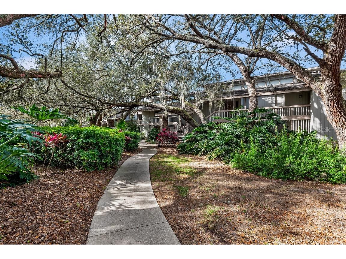 683 Olde Camelot Circle #3273-4 Haines City FL 33844 P4928962 image1