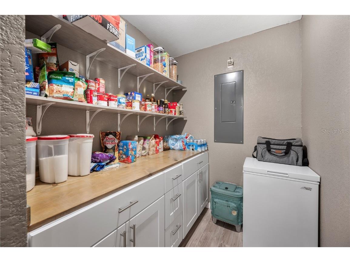 6830 County Line Road Lakeland FL 33811 L4957996 image15