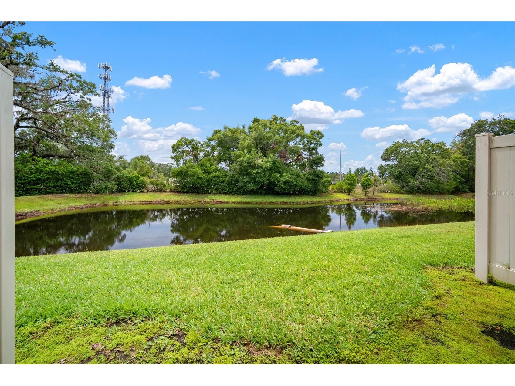 6831 Dartmouth Hill Street Riverview FL 33578 TB8376296 image18