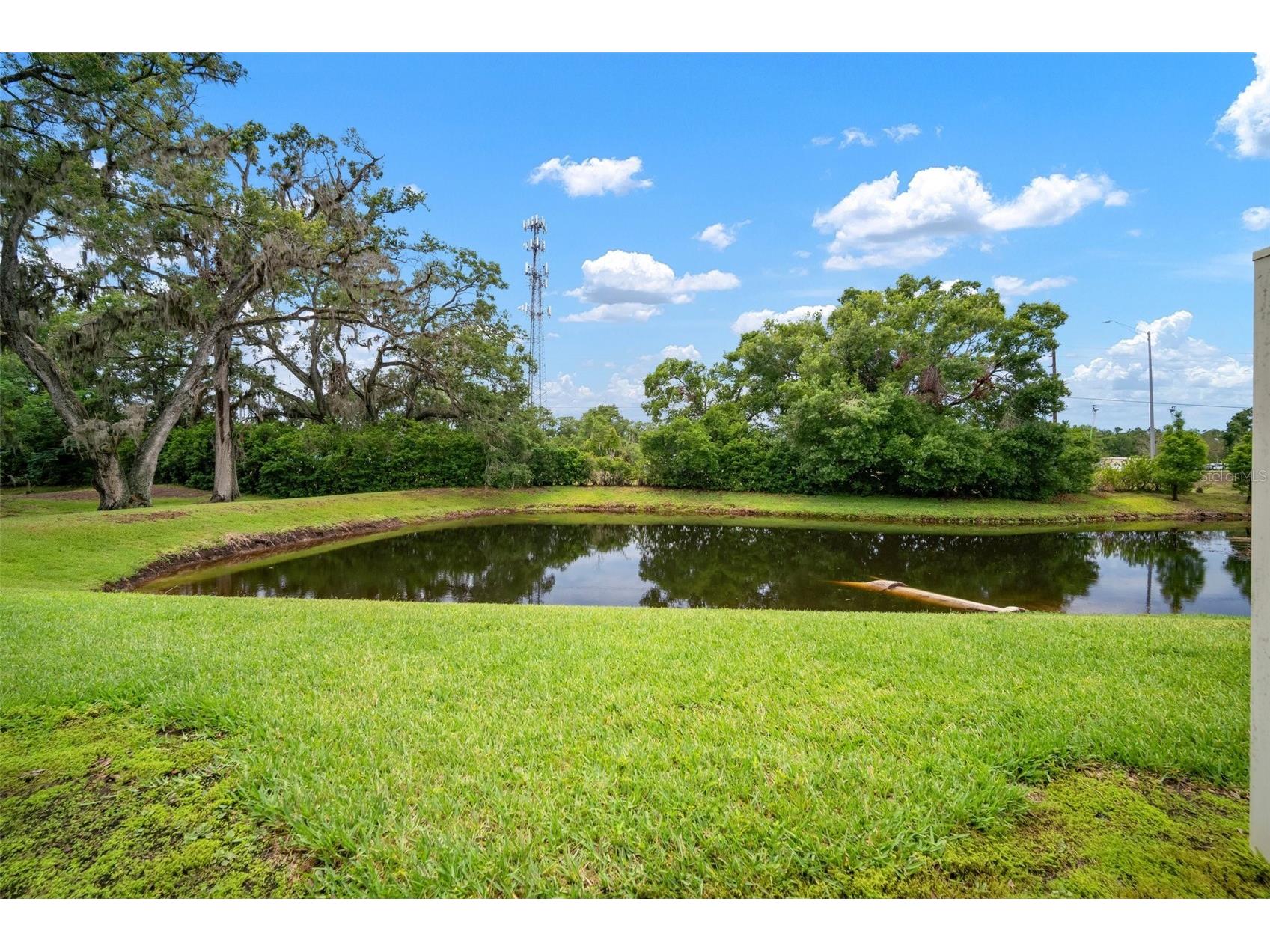 6831 Dartmouth Hill Street Riverview FL 33578 TB8376296 image40