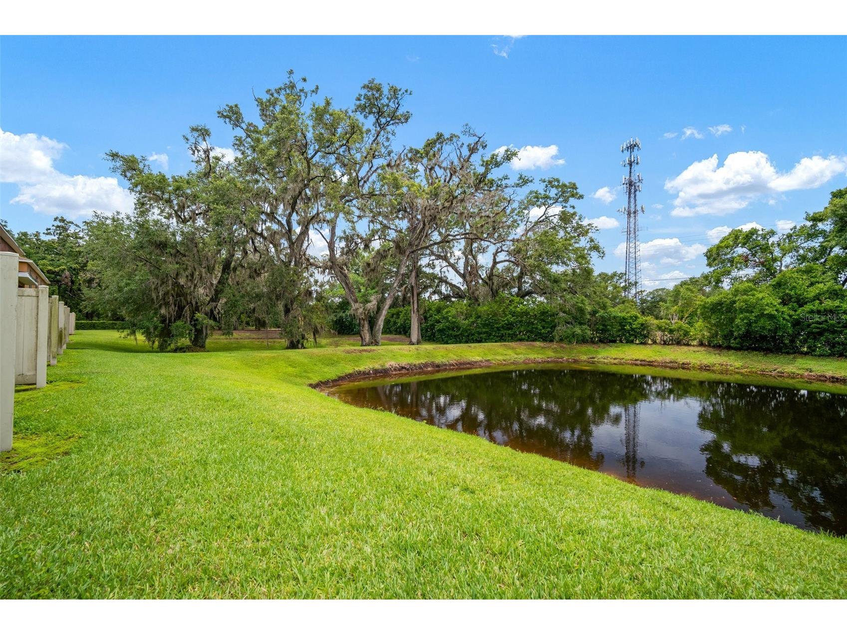 6831 Dartmouth Hill Street Riverview FL 33578 TB8376296 image42