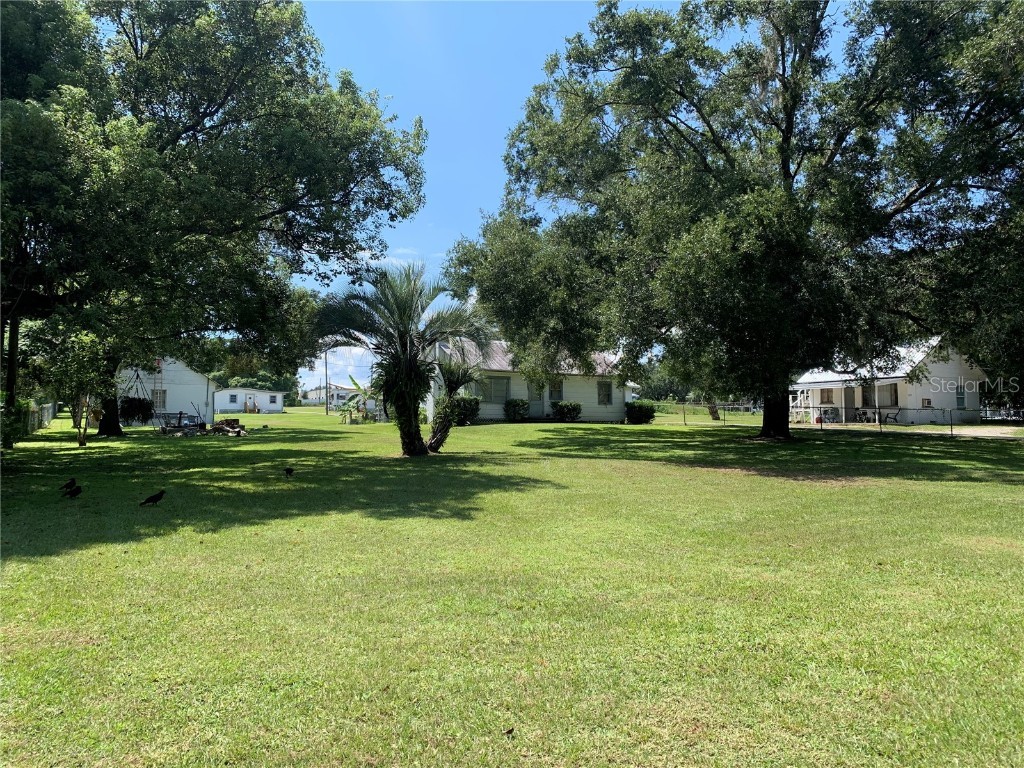 6831 Wire Road Zephyrhills FL 33542 T3465216 image1