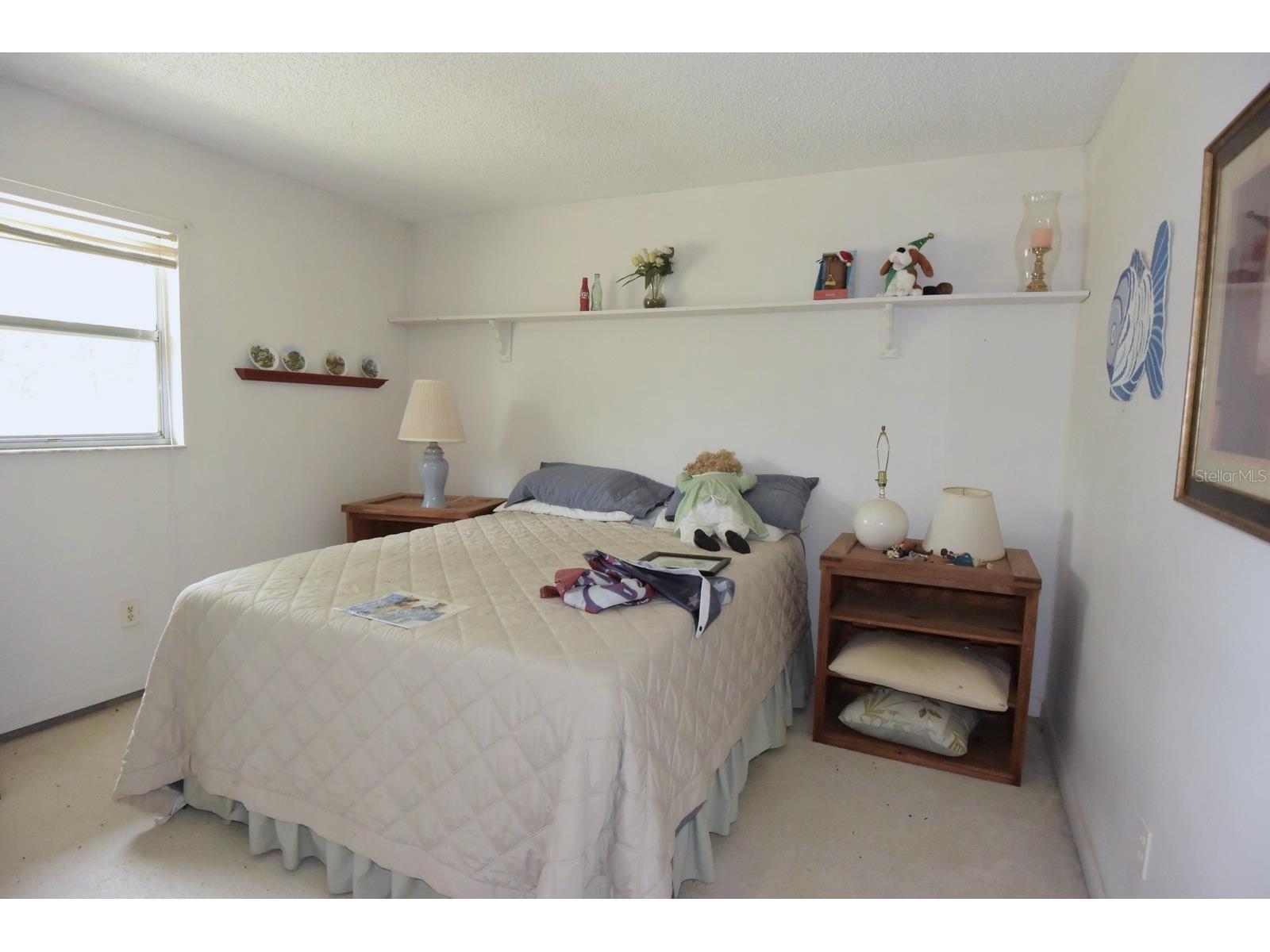 6832 Quail Hollow Boulevard Wesley Chapel FL 33544 W7885035 image20