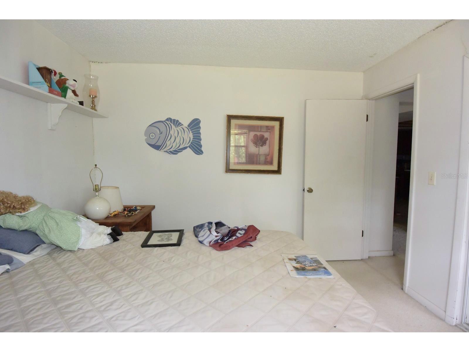 6832 Quail Hollow Boulevard Wesley Chapel FL 33544 W7885035 image21