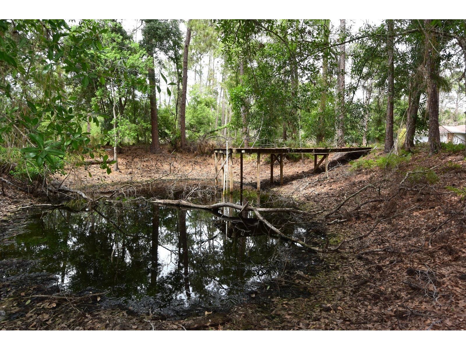 6832 Quail Hollow Boulevard Wesley Chapel FL 33544 W7885035 image26
