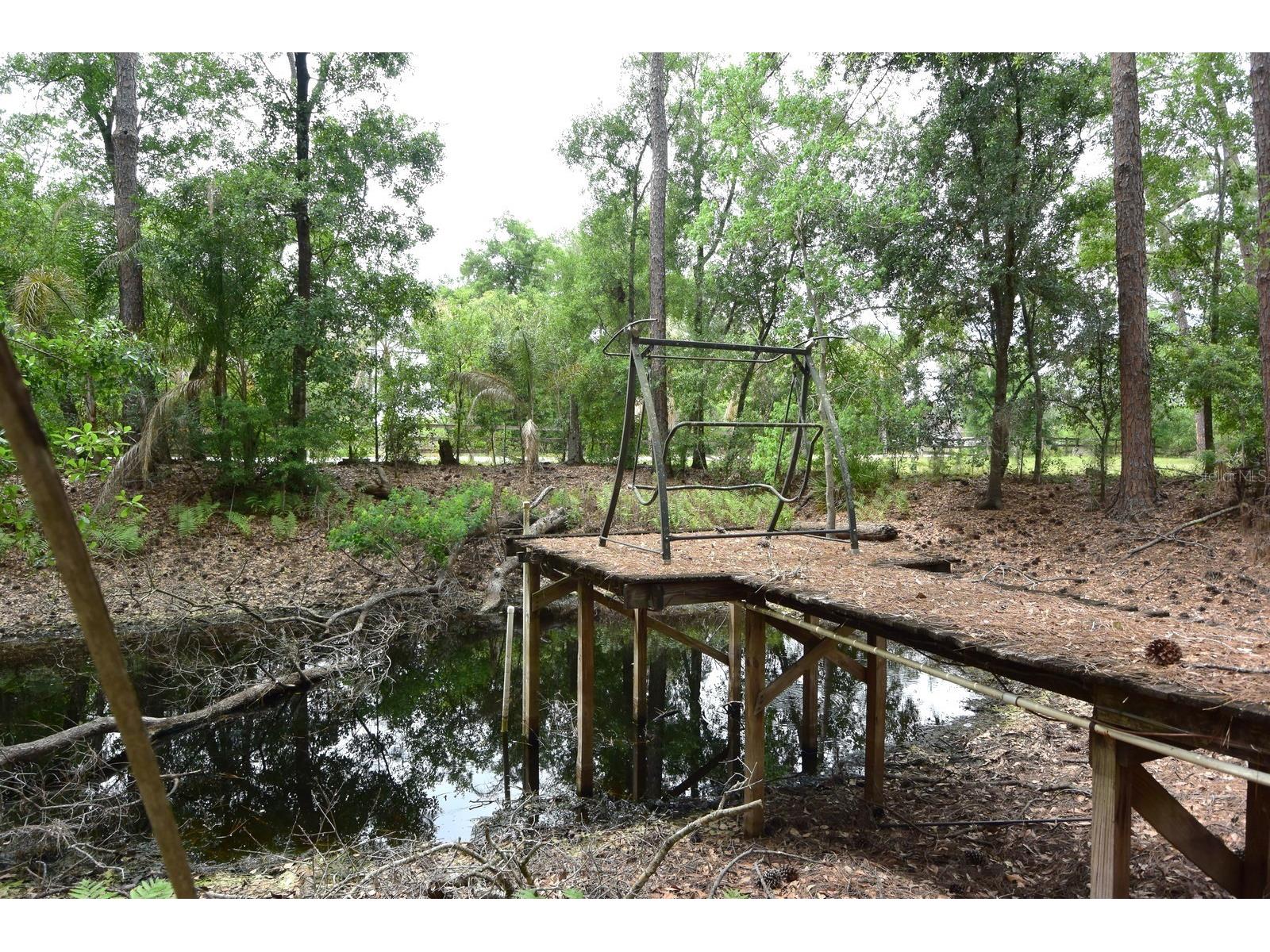 6832 Quail Hollow Boulevard Wesley Chapel FL 33544 W7885035 image27