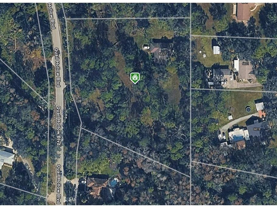 6832 Quail Hollow Boulevard Wesley Chapel FL 33544 W7885035 image3