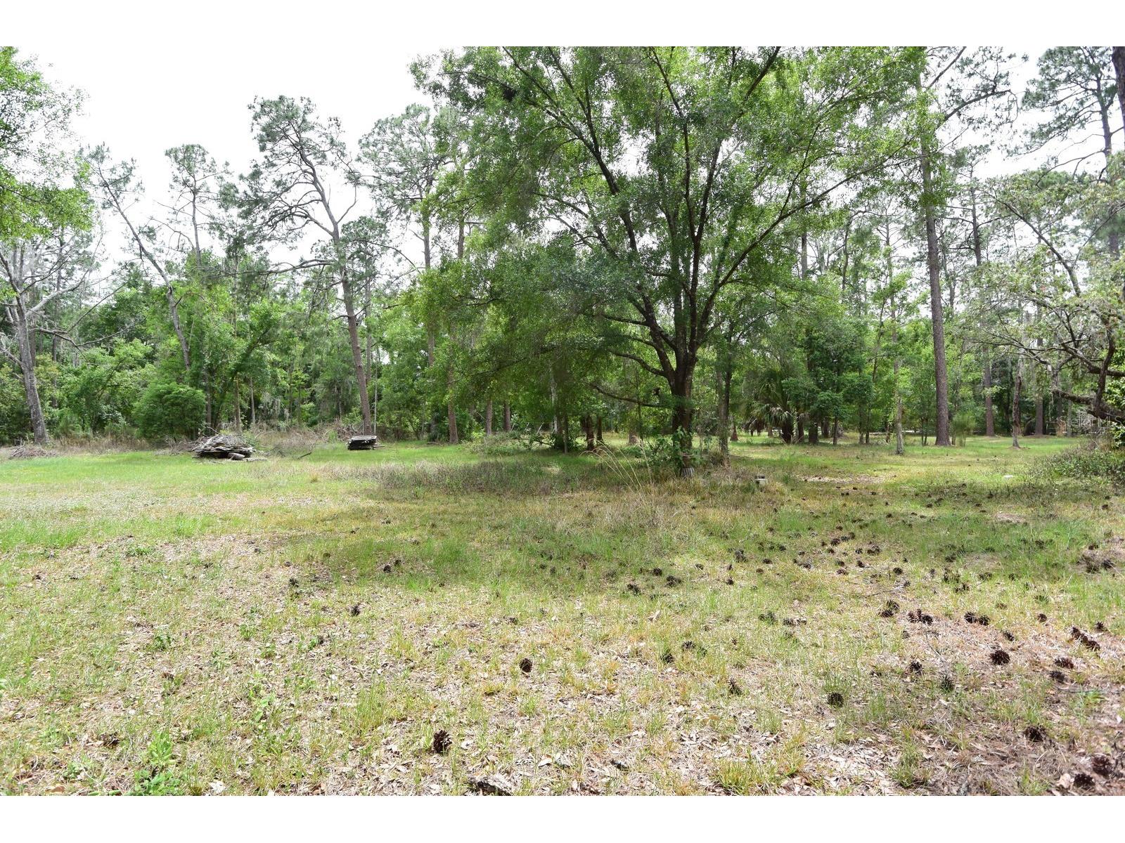 6832 Quail Hollow Boulevard Wesley Chapel FL 33544 W7885035 image32