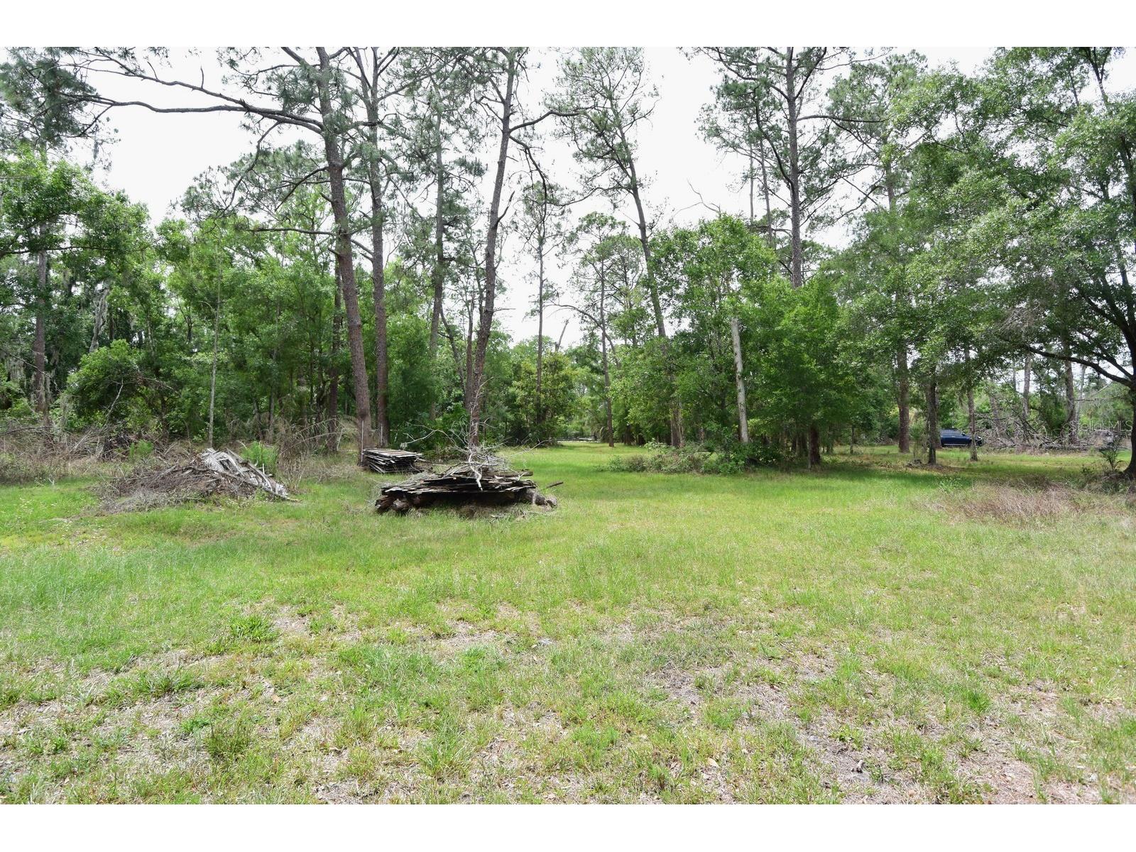 6832 Quail Hollow Boulevard Wesley Chapel FL 33544 W7885035 image33
