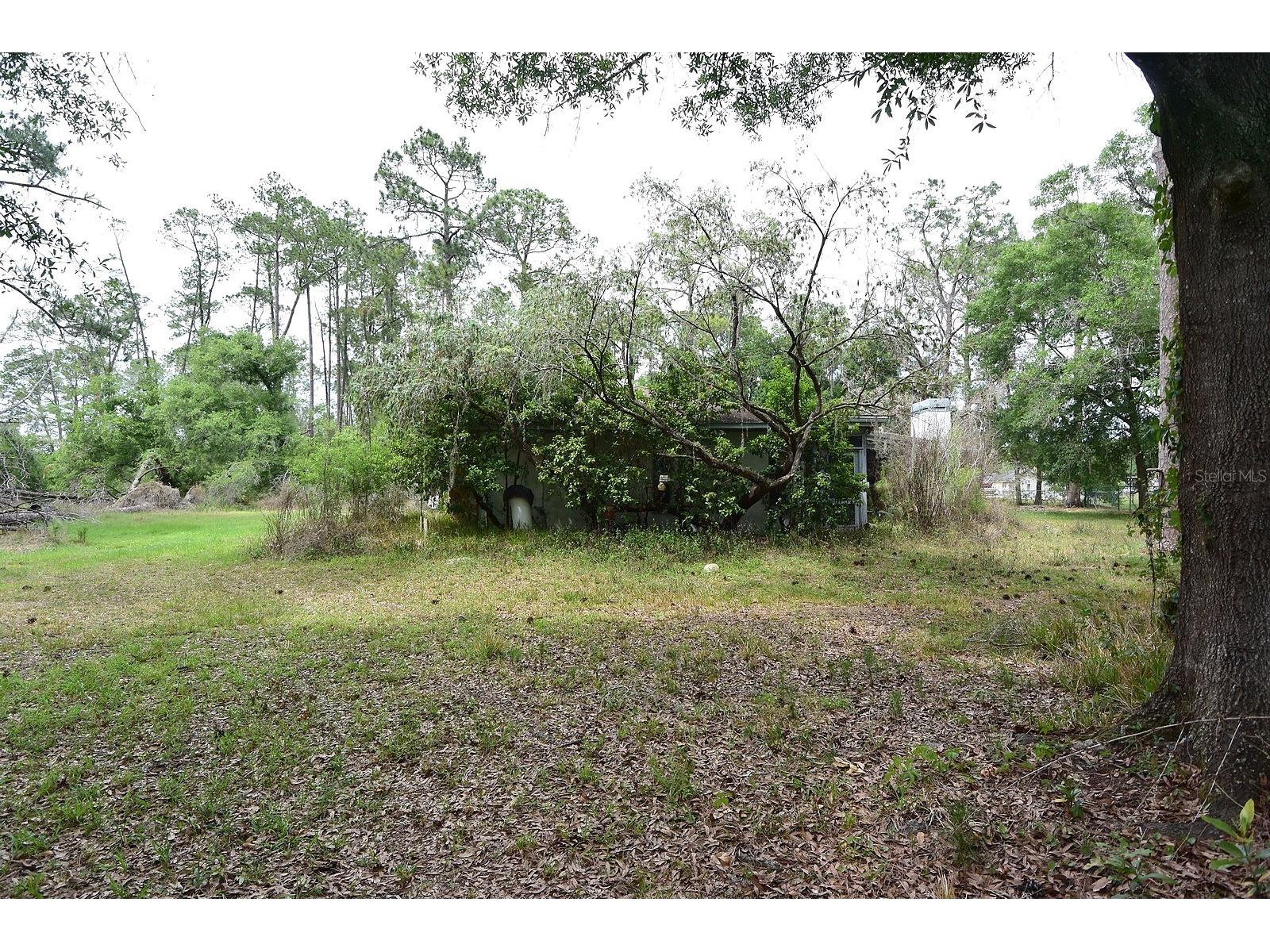 6832 Quail Hollow Boulevard Wesley Chapel FL 33544 W7885035 image35