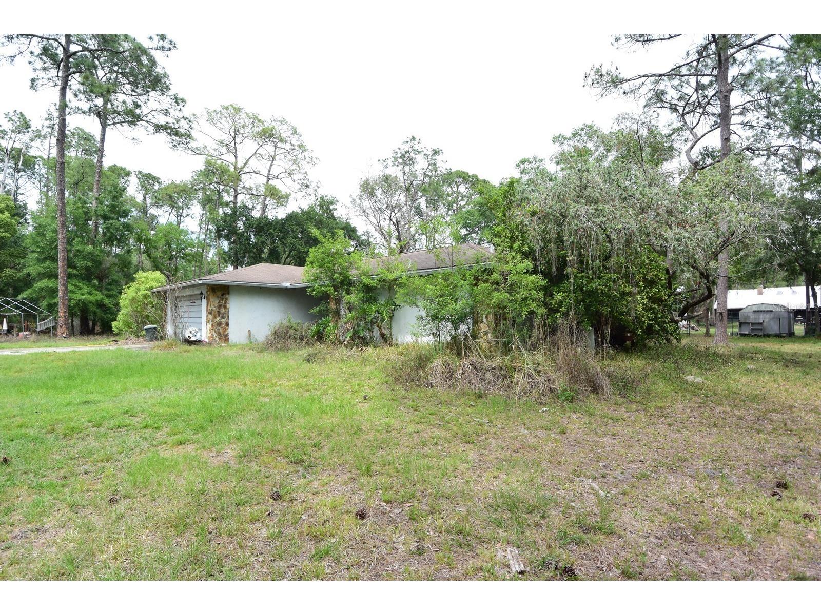 6832 Quail Hollow Boulevard Wesley Chapel FL 33544 W7885035 image36