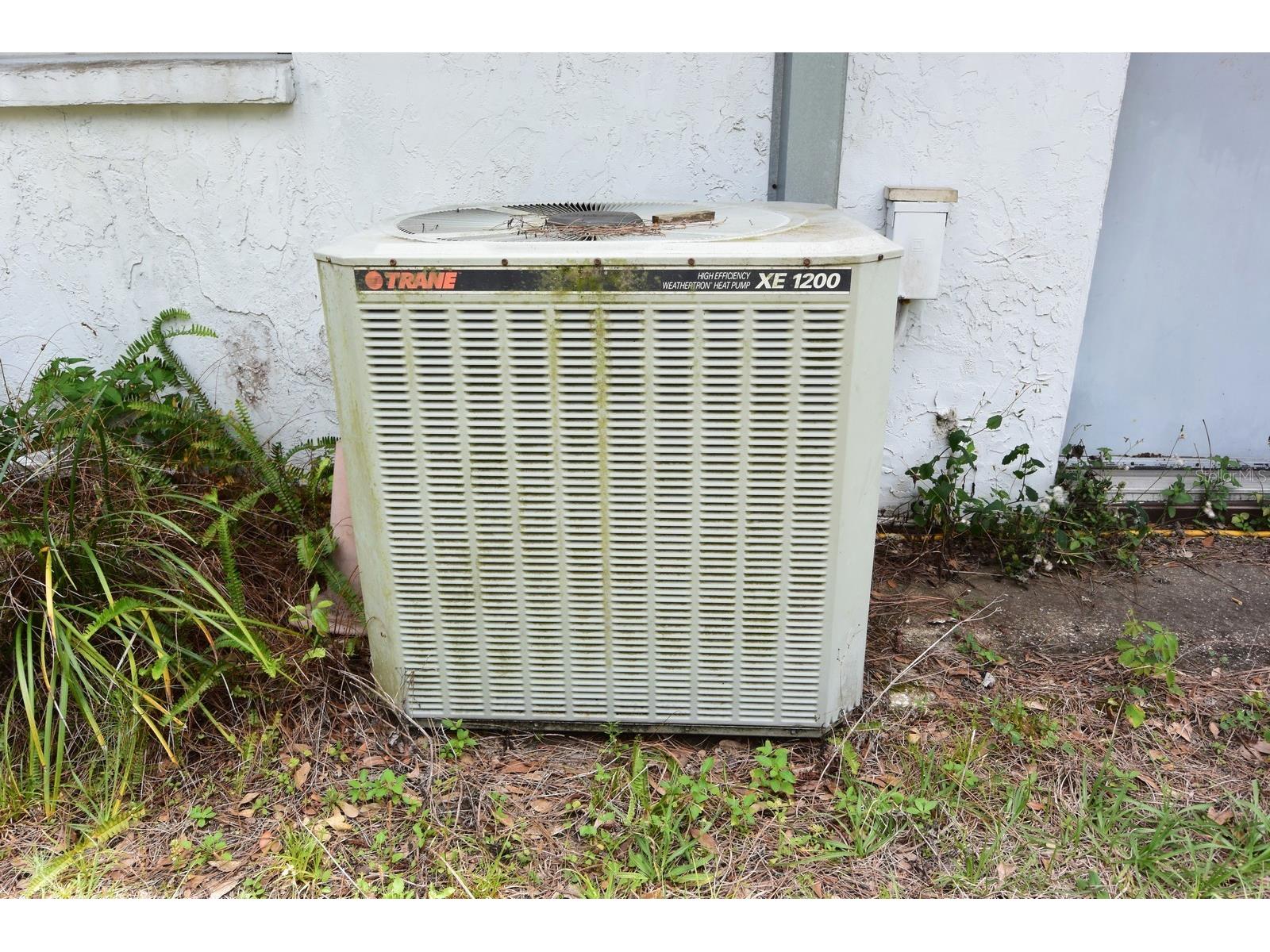 6832 Quail Hollow Boulevard Wesley Chapel FL 33544 W7885035 image37