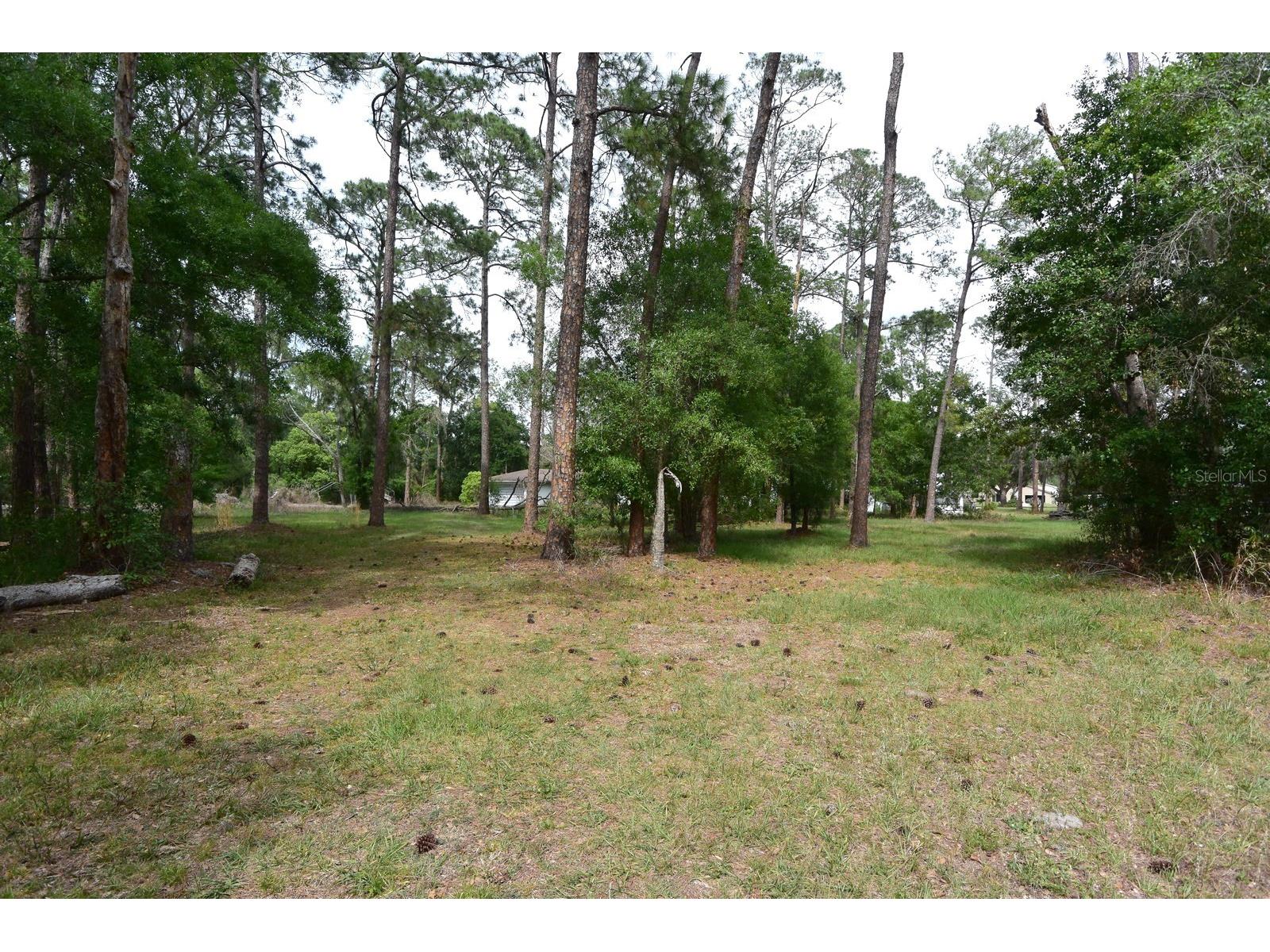 6832 Quail Hollow Boulevard Wesley Chapel FL 33544 W7885035 image4
