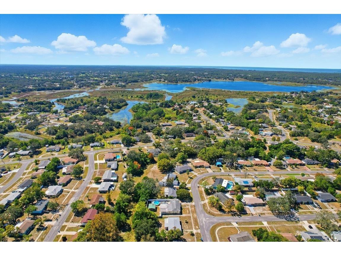 6832 Treehaven Drive Spring Hill FL 34606 OM711810 image28