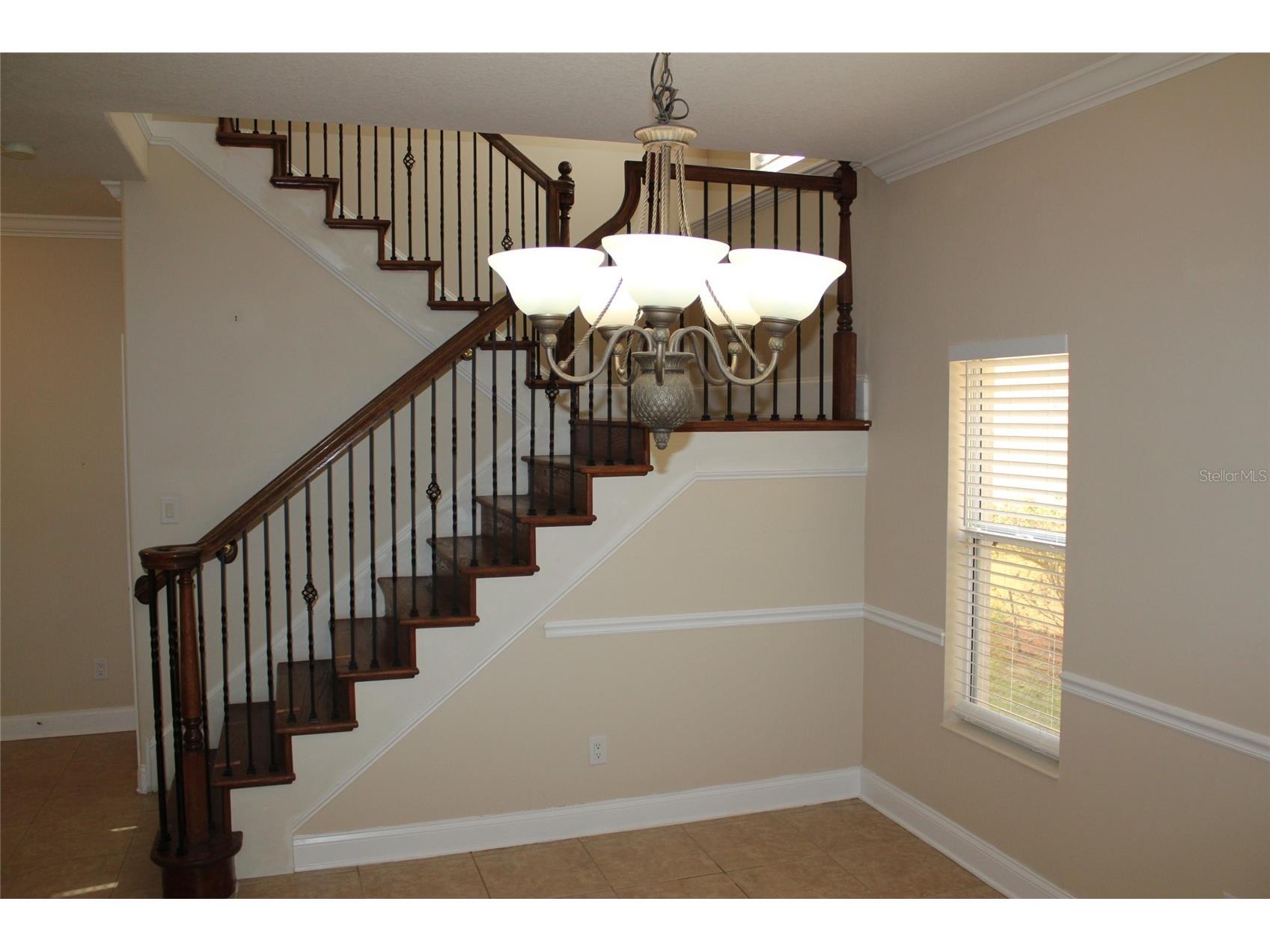 6833 Dolce Street Orlando FL 32819 O6399074 image16