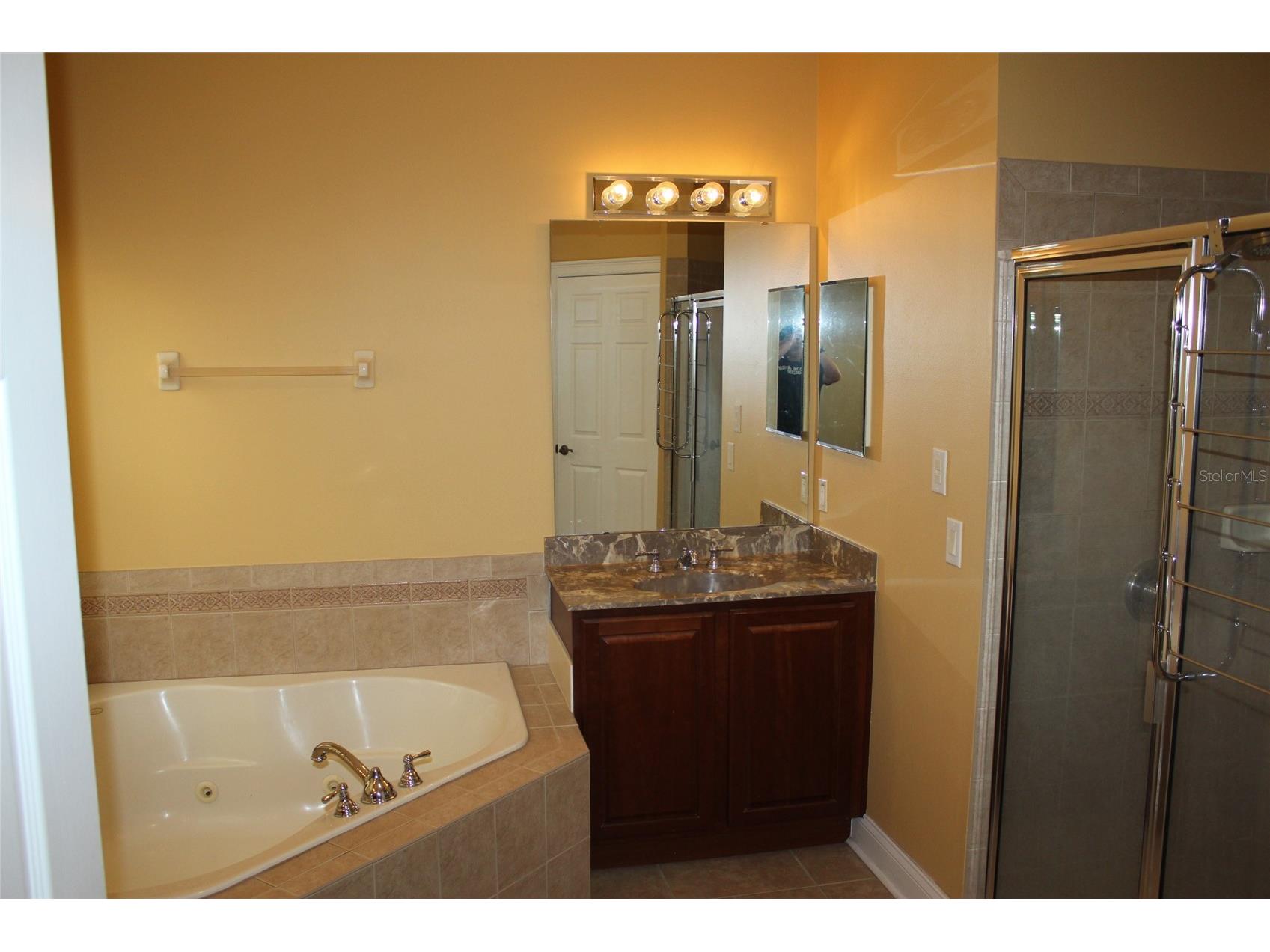 6833 Dolce Street Orlando FL 32819 O6399074 image23