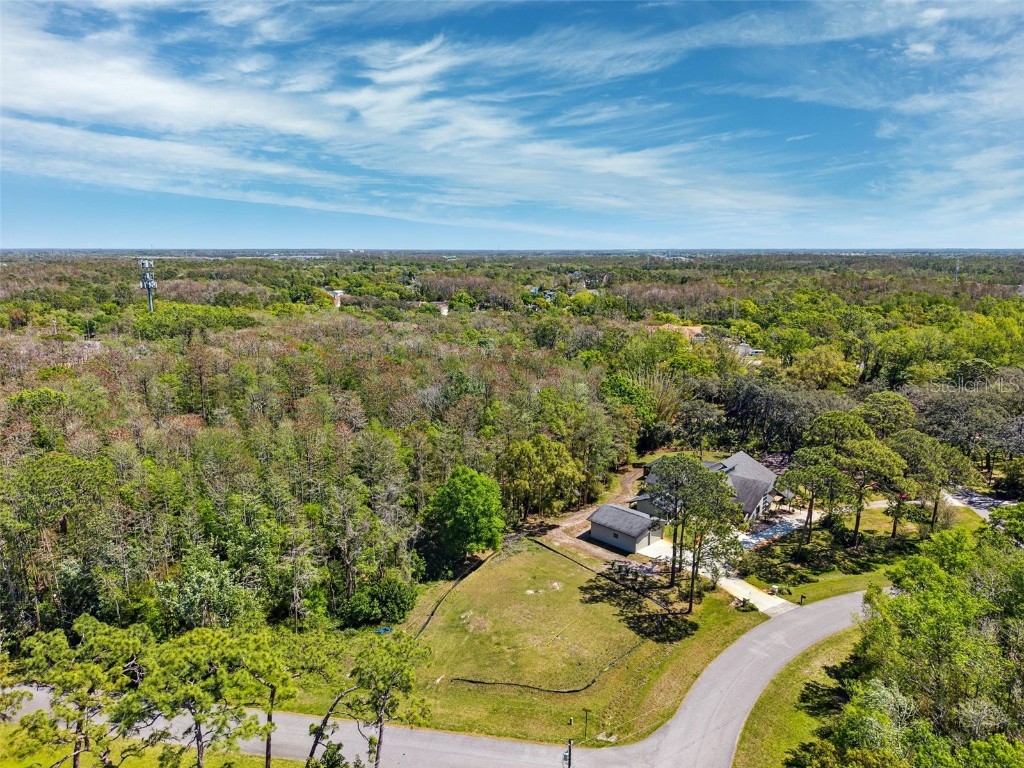 6833 Morningsun Court New Port Richey FL 34655 TB8365104 image1