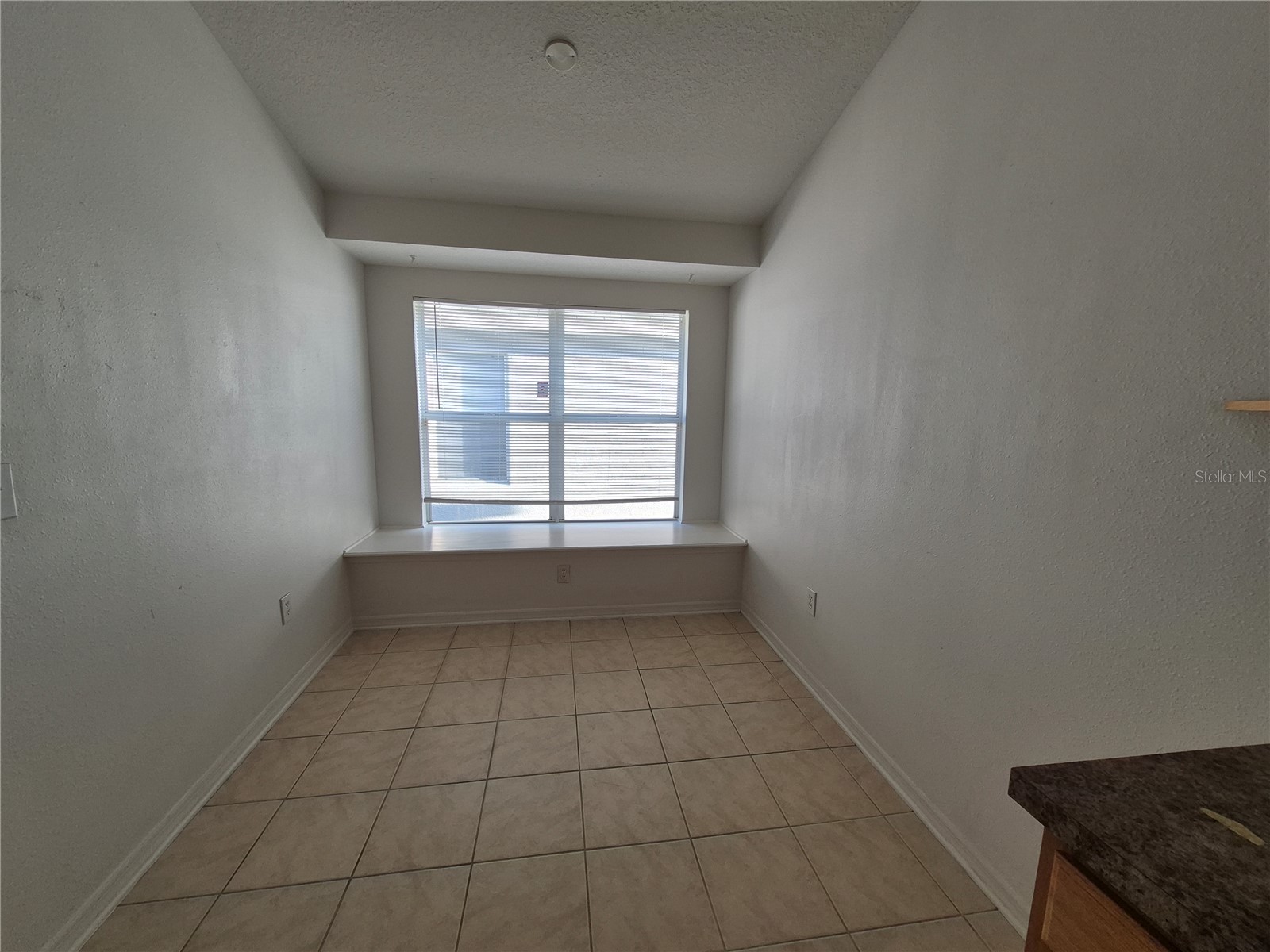 6833 Runner Oak Drive Zephyrhills FL 33545 TB8513841 image10
