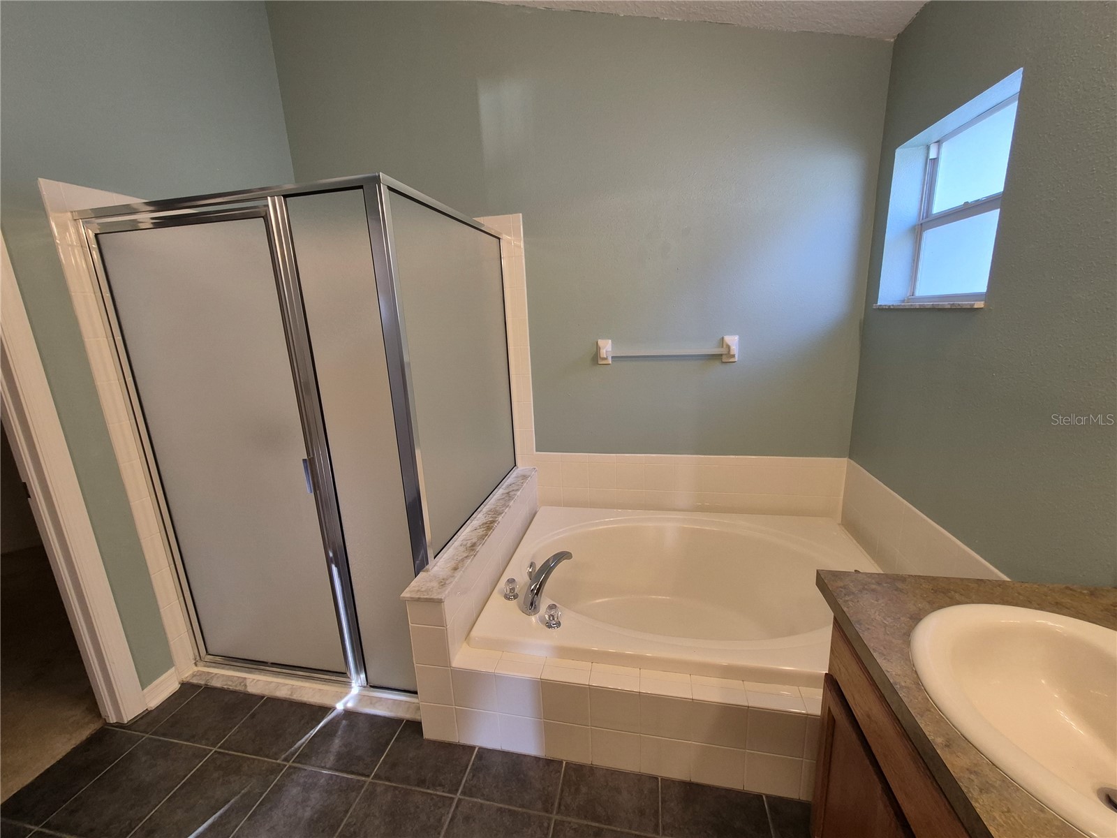 6833 Runner Oak Drive Zephyrhills FL 33545 TB8513841 image21