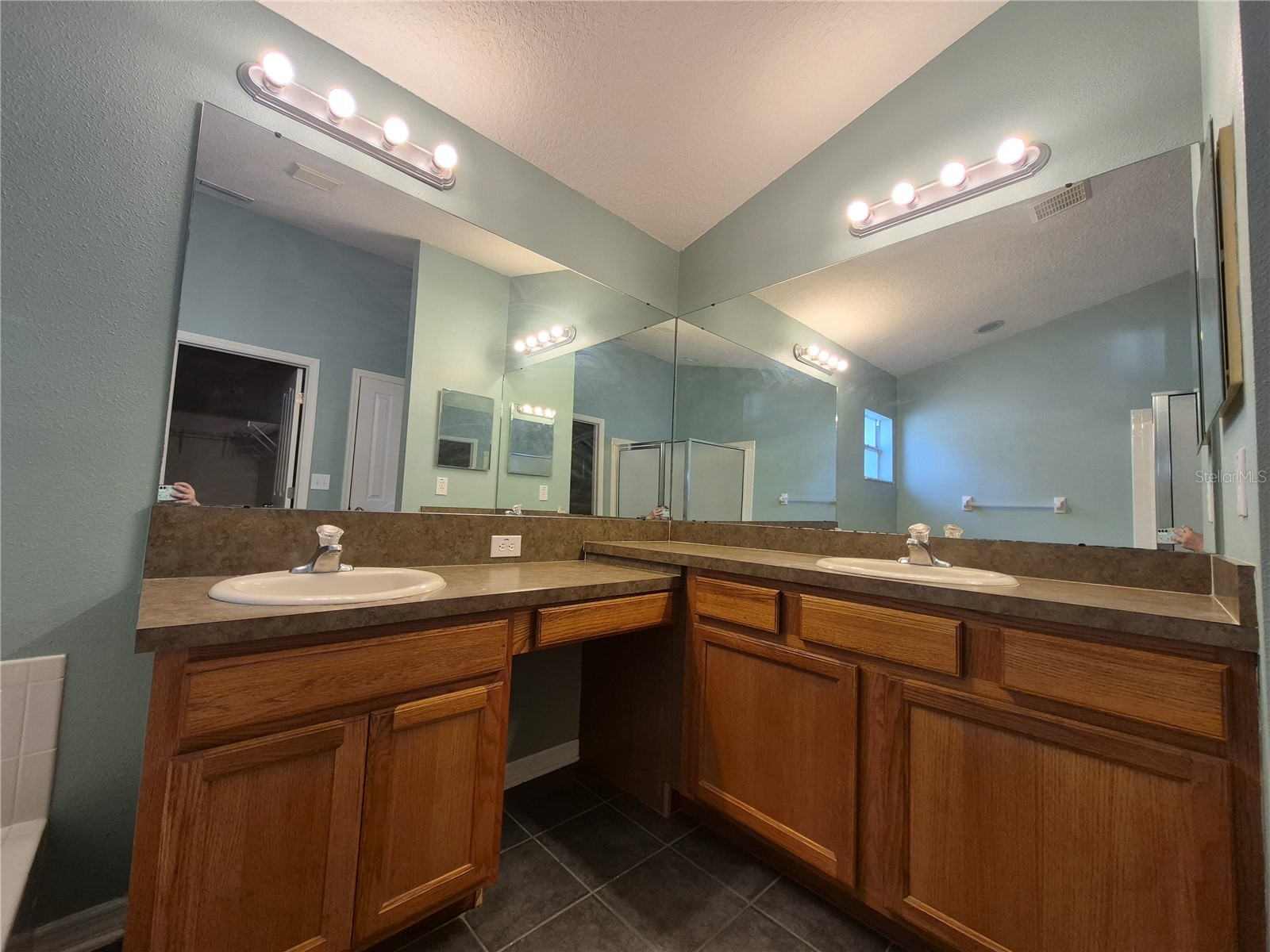 6833 Runner Oak Drive Zephyrhills FL 33545 TB8513841 image24