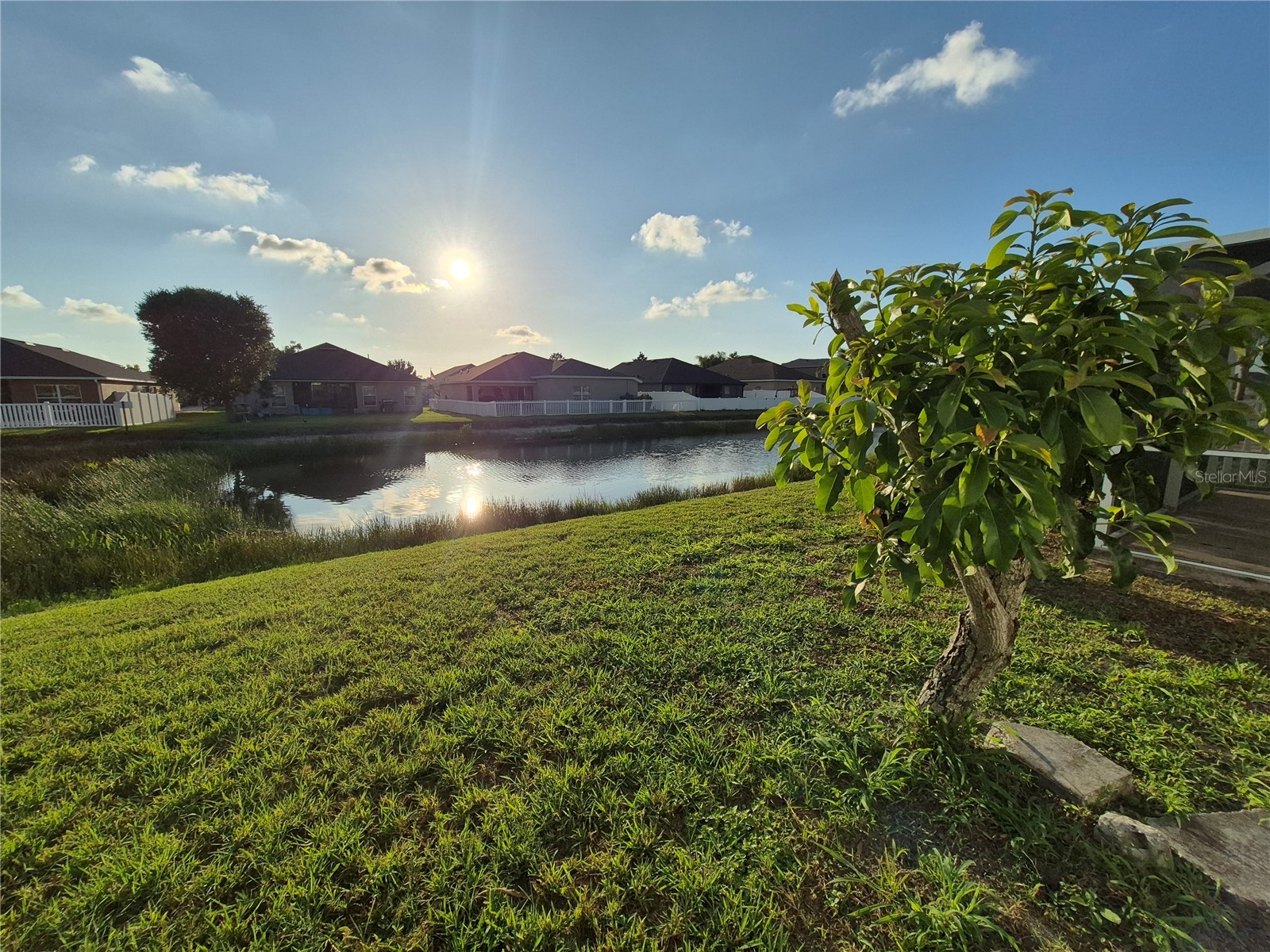 6833 Runner Oak Drive Zephyrhills FL 33545 TB8513841 image31