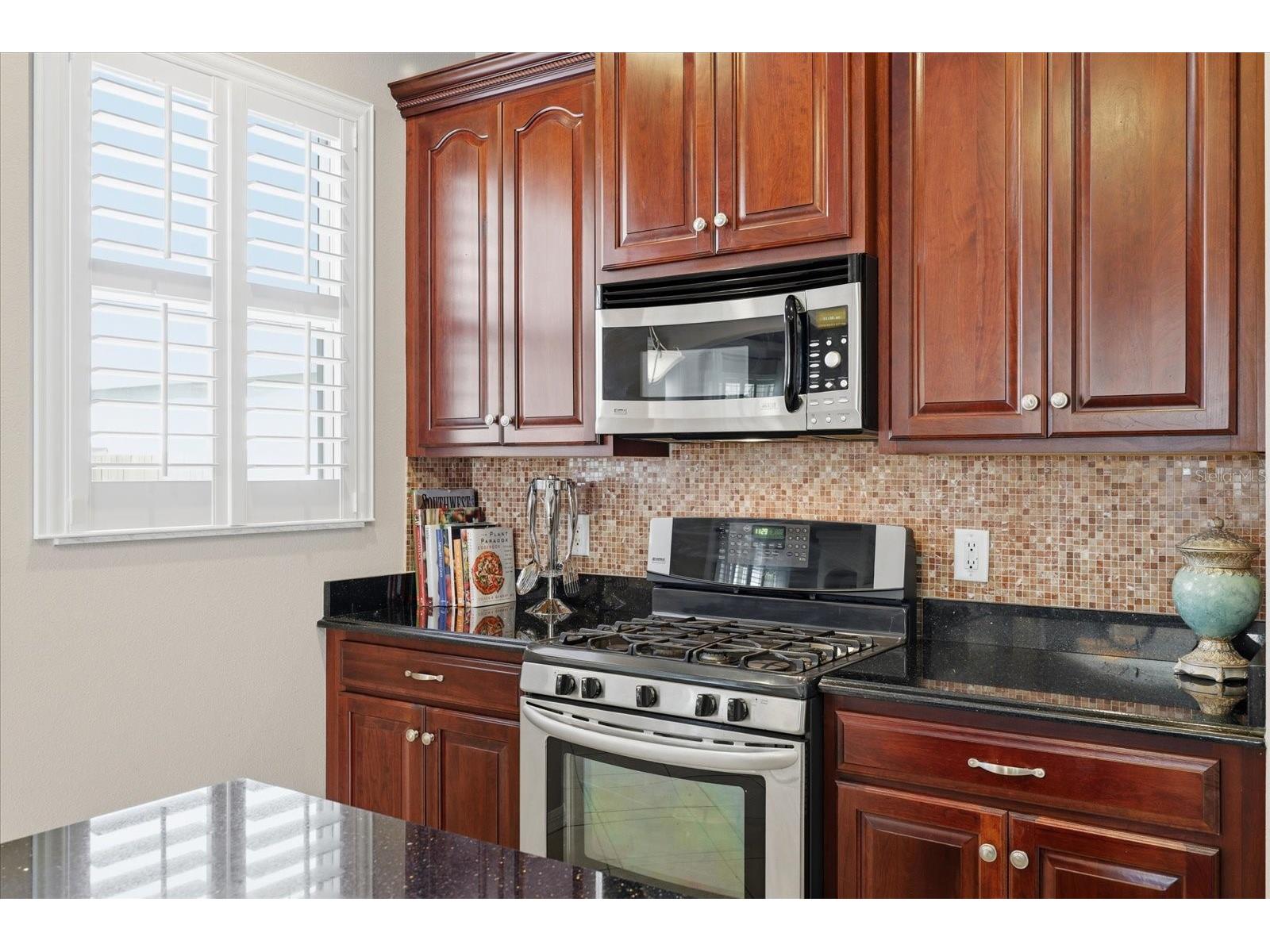 6834 Guilford Bridge Drive Apollo Beach FL 33572 TB8460922 image19