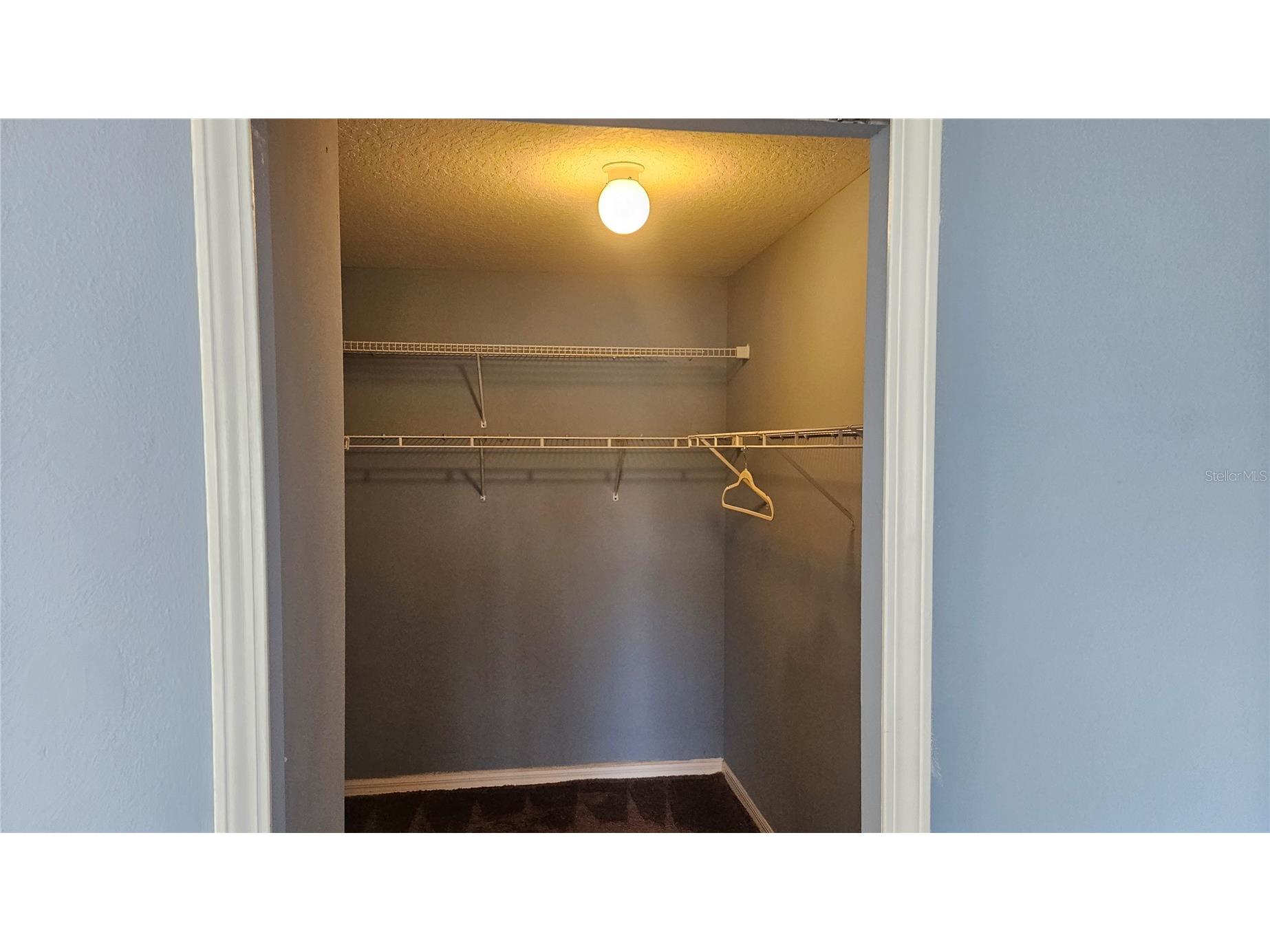 6836 Aramon Court Wesley Chapel FL 33545 TB8473433 image17