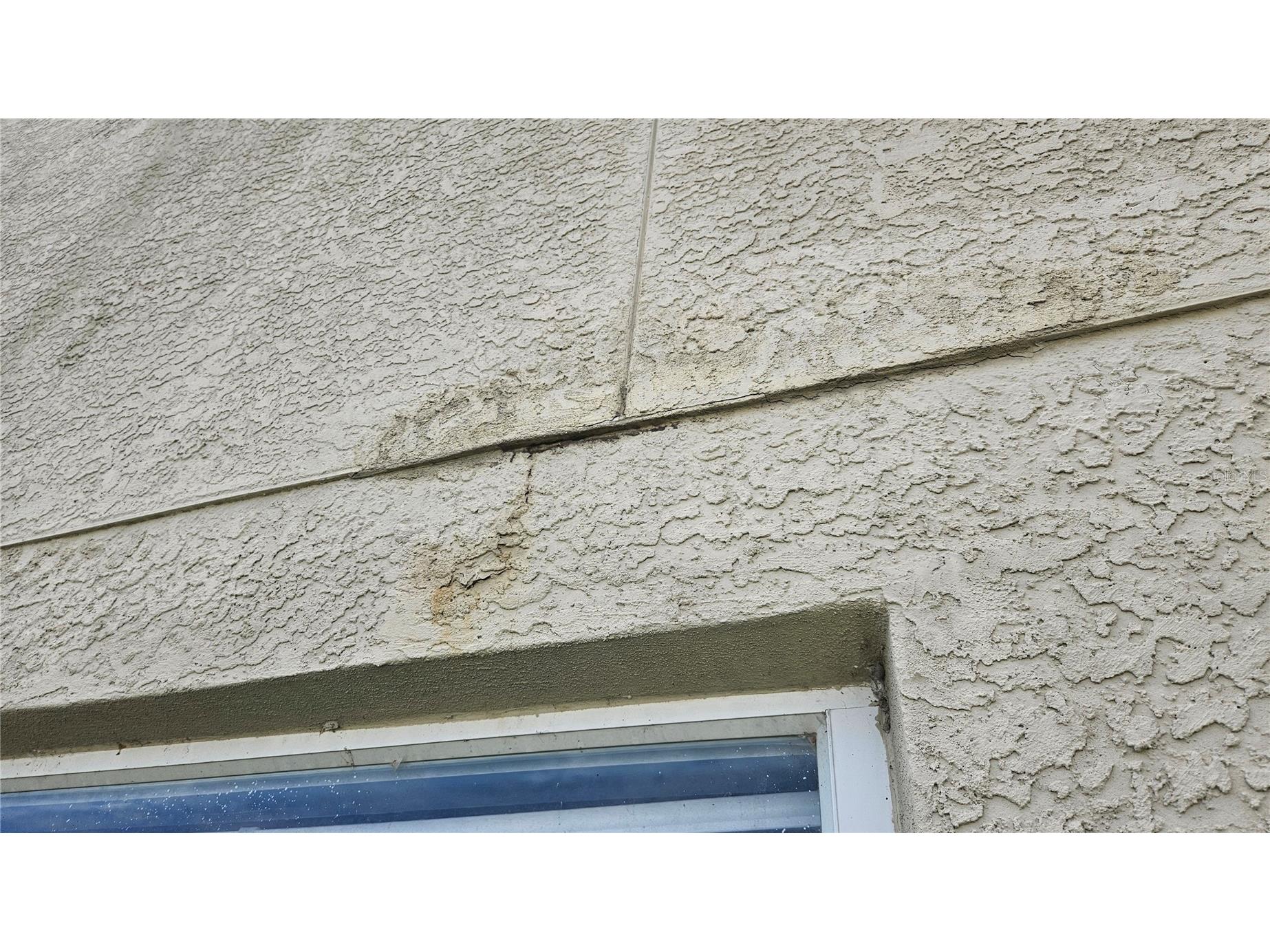 6836 Aramon Court Wesley Chapel FL 33545 TB8473433 image2