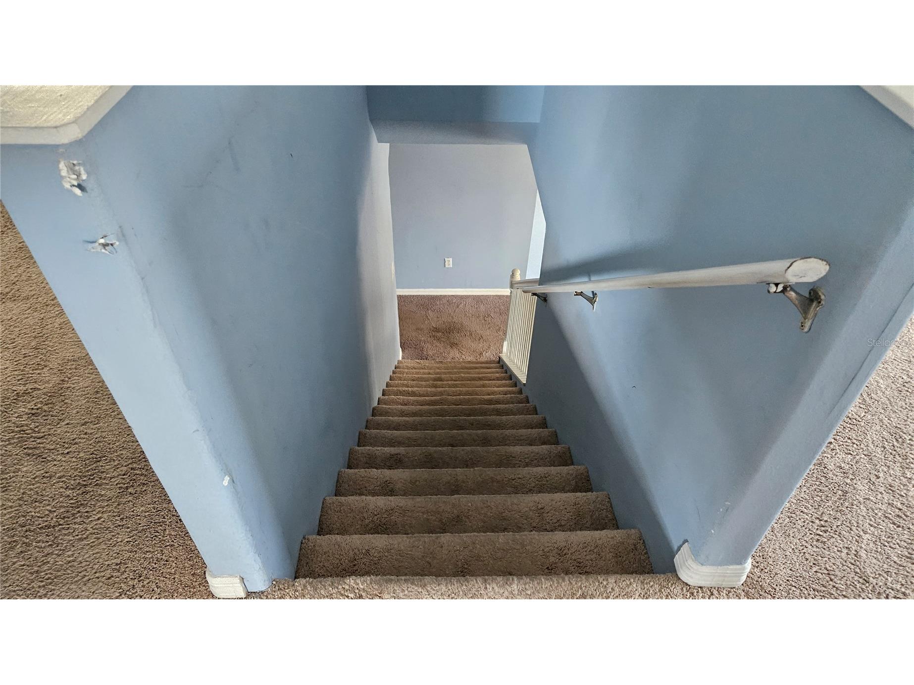 6836 Aramon Court Wesley Chapel FL 33545 TB8473433 image26
