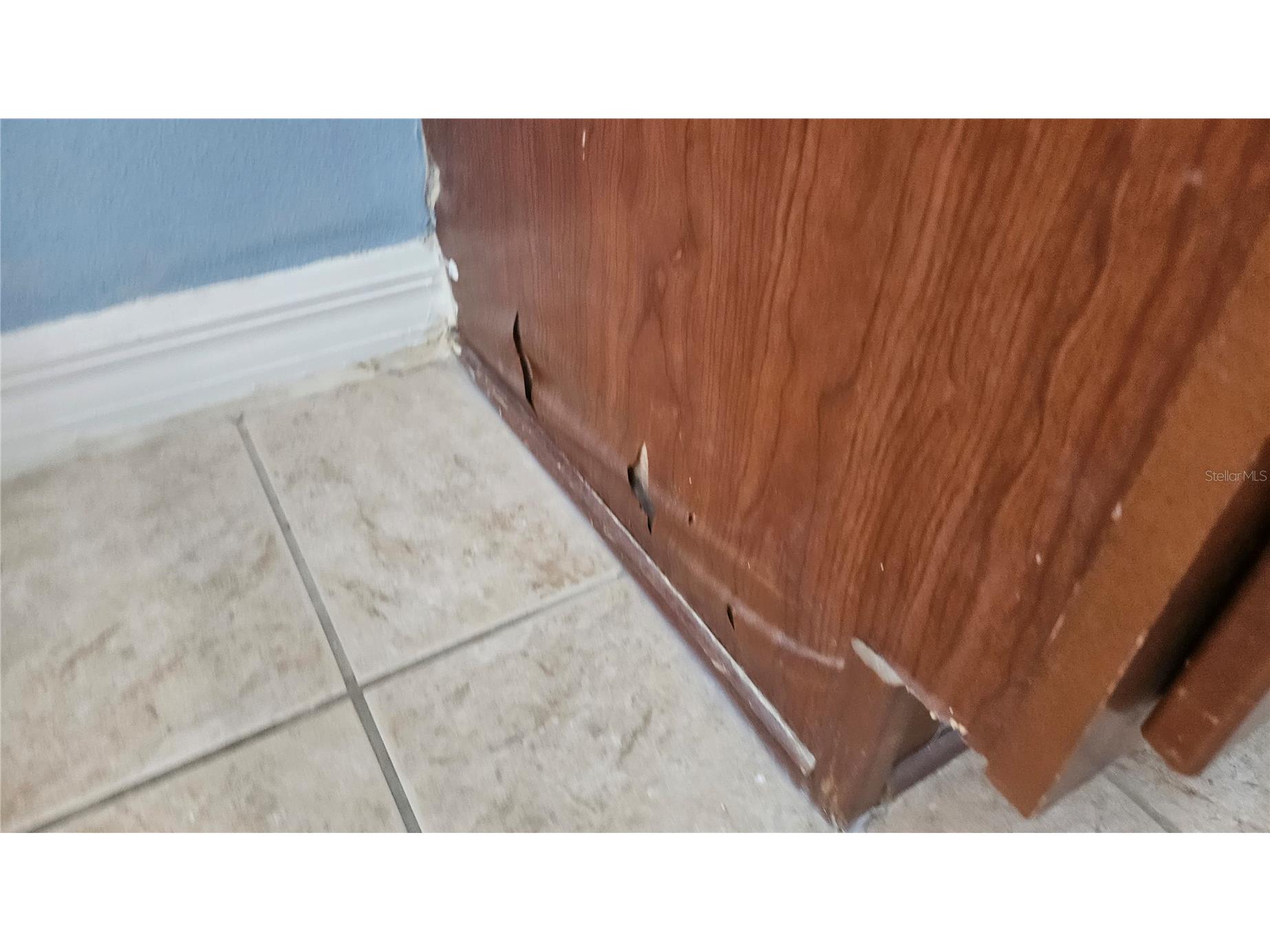 6836 Aramon Court Wesley Chapel FL 33545 TB8473433 image36