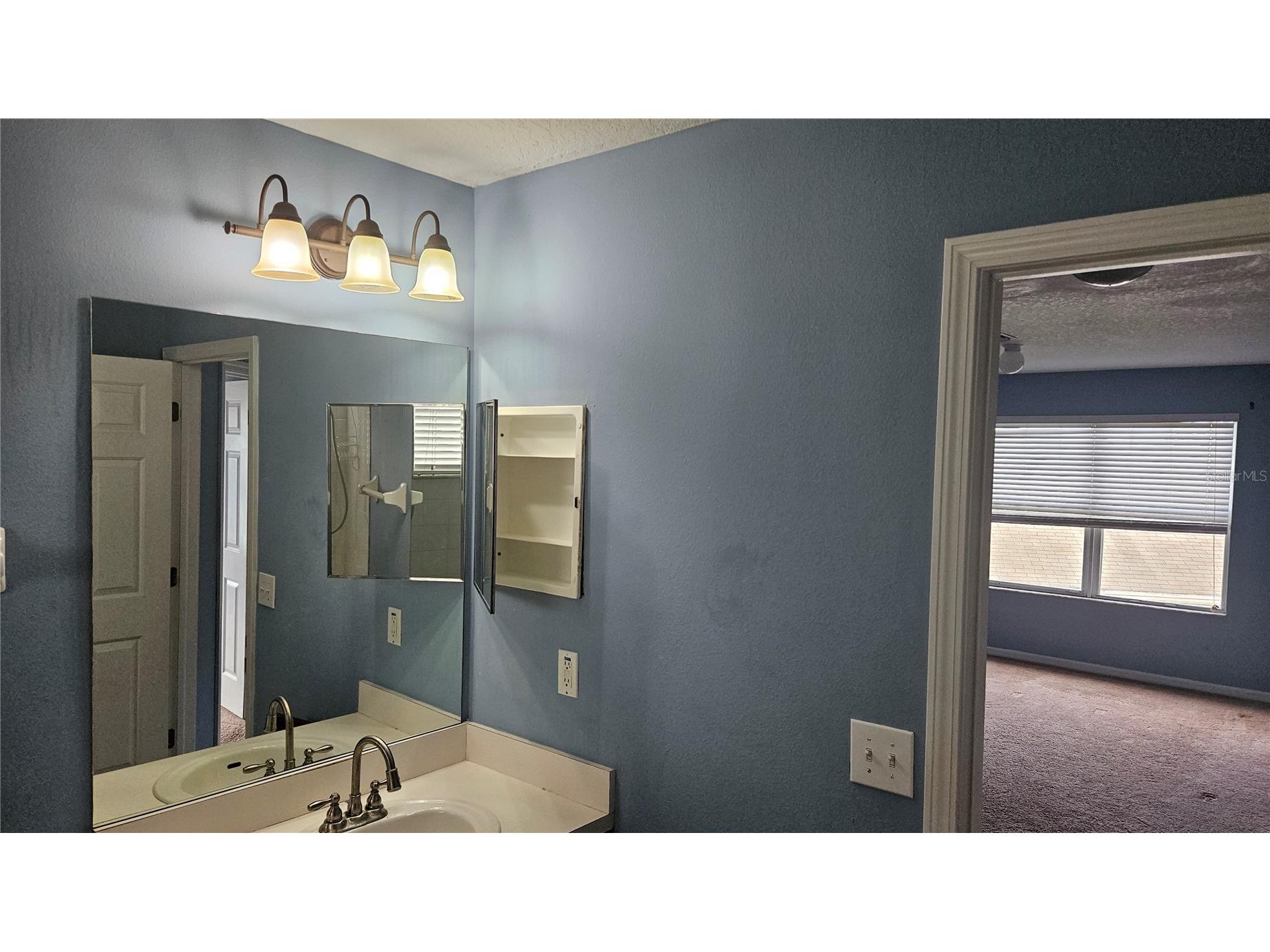 6836 Aramon Court Wesley Chapel FL 33545 TB8473433 image37