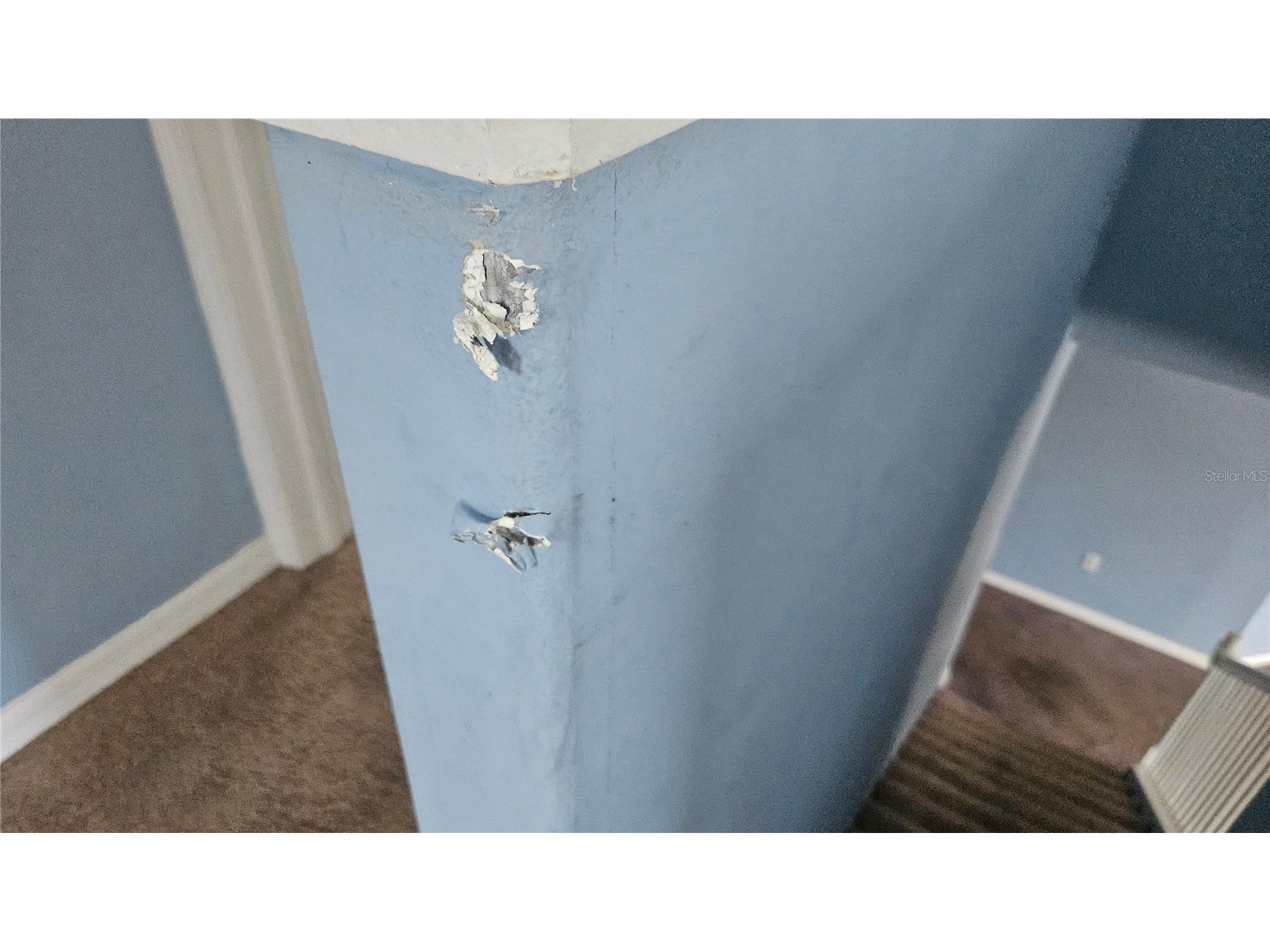 6836 Aramon Court Wesley Chapel FL 33545 TB8473433 image40