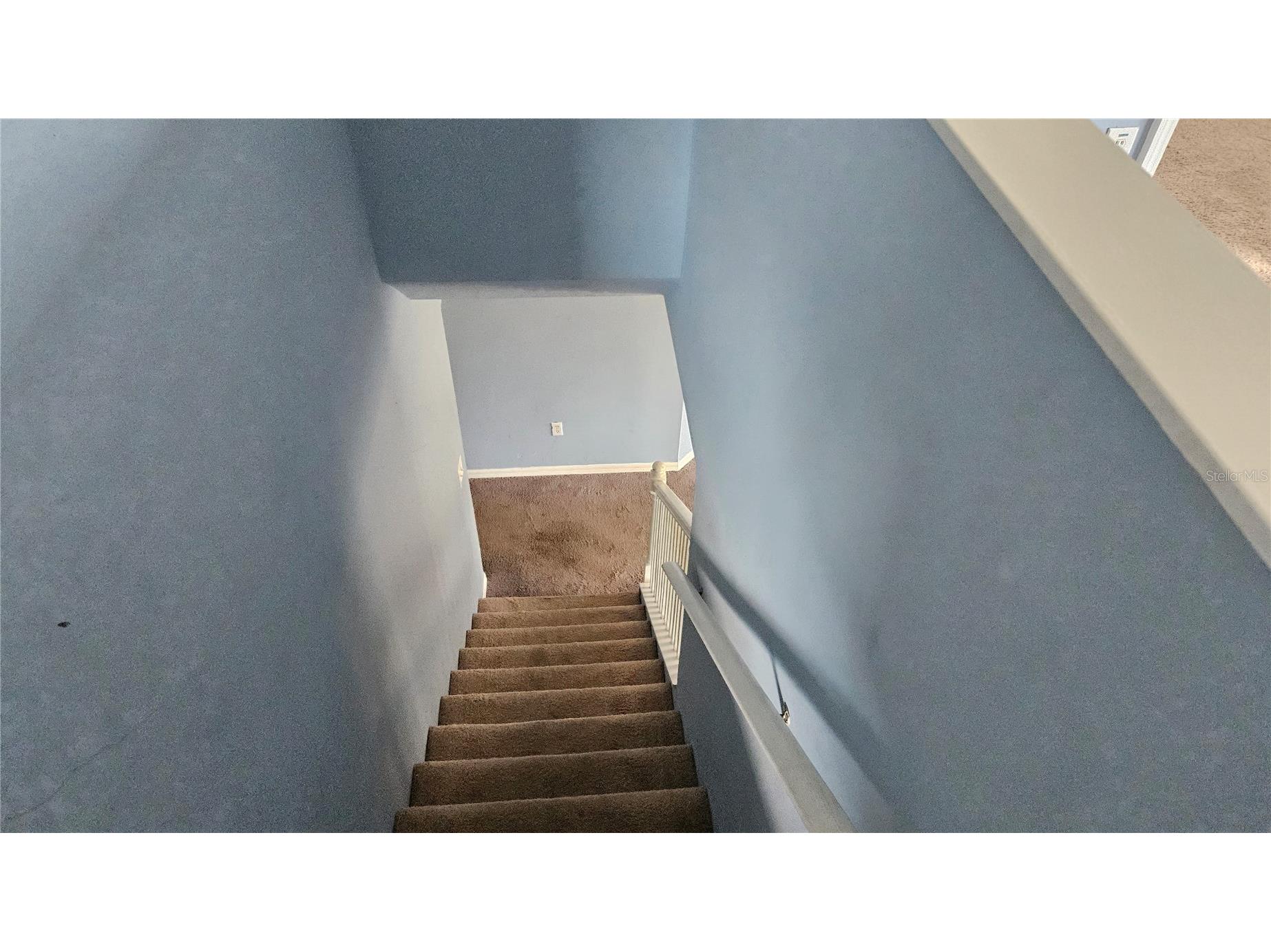 6836 Aramon Court Wesley Chapel FL 33545 TB8473433 image41