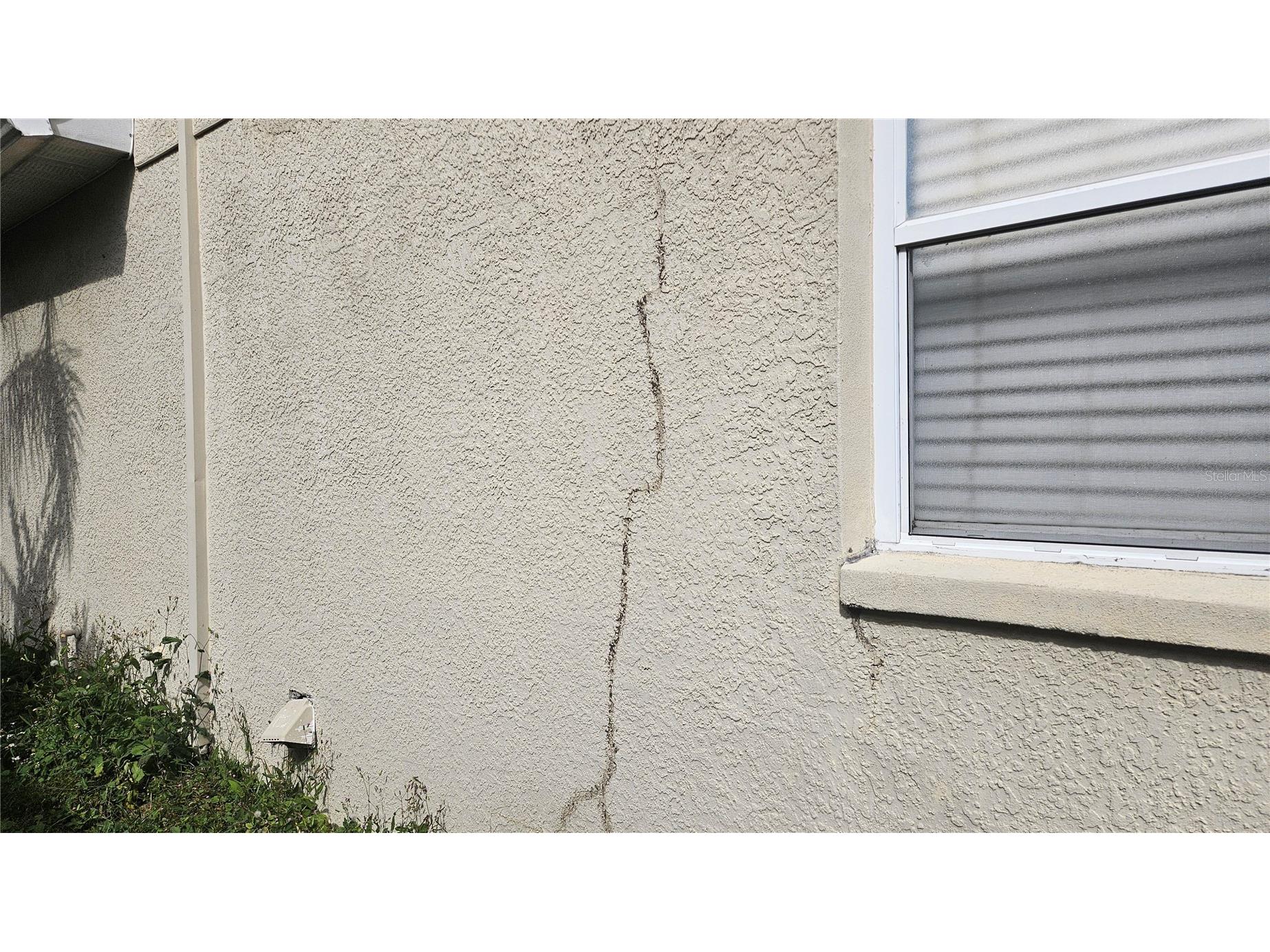 6836 Aramon Court Wesley Chapel FL 33545 TB8473433 image6