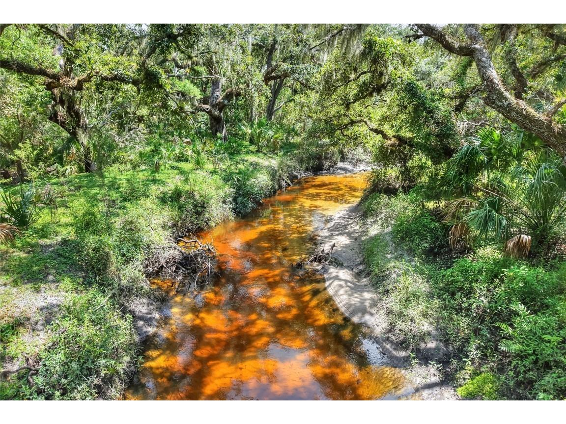 6838 Mary Lou Drive Riverview FL 33578 TB8421427 image14