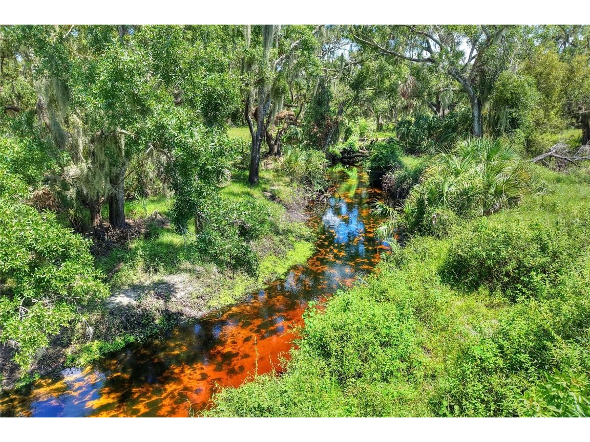 6838 Mary Lou Drive Riverview FL 33578 TB8421427 image16