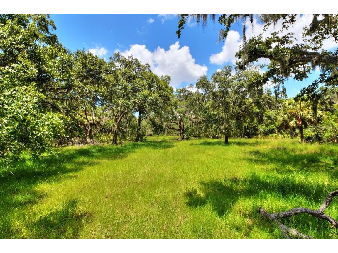 6838 Mary Lou Drive Riverview FL 33578 TB8421427 image17