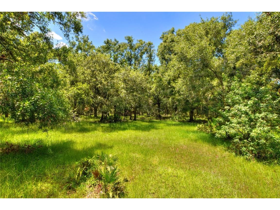 6838 Mary Lou Drive Riverview FL 33578 TB8421427 image18