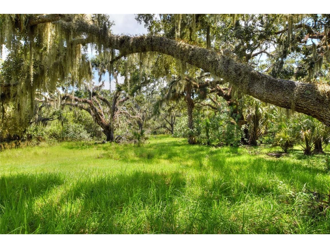 6838 Mary Lou Drive Riverview FL 33578 TB8421427 image19