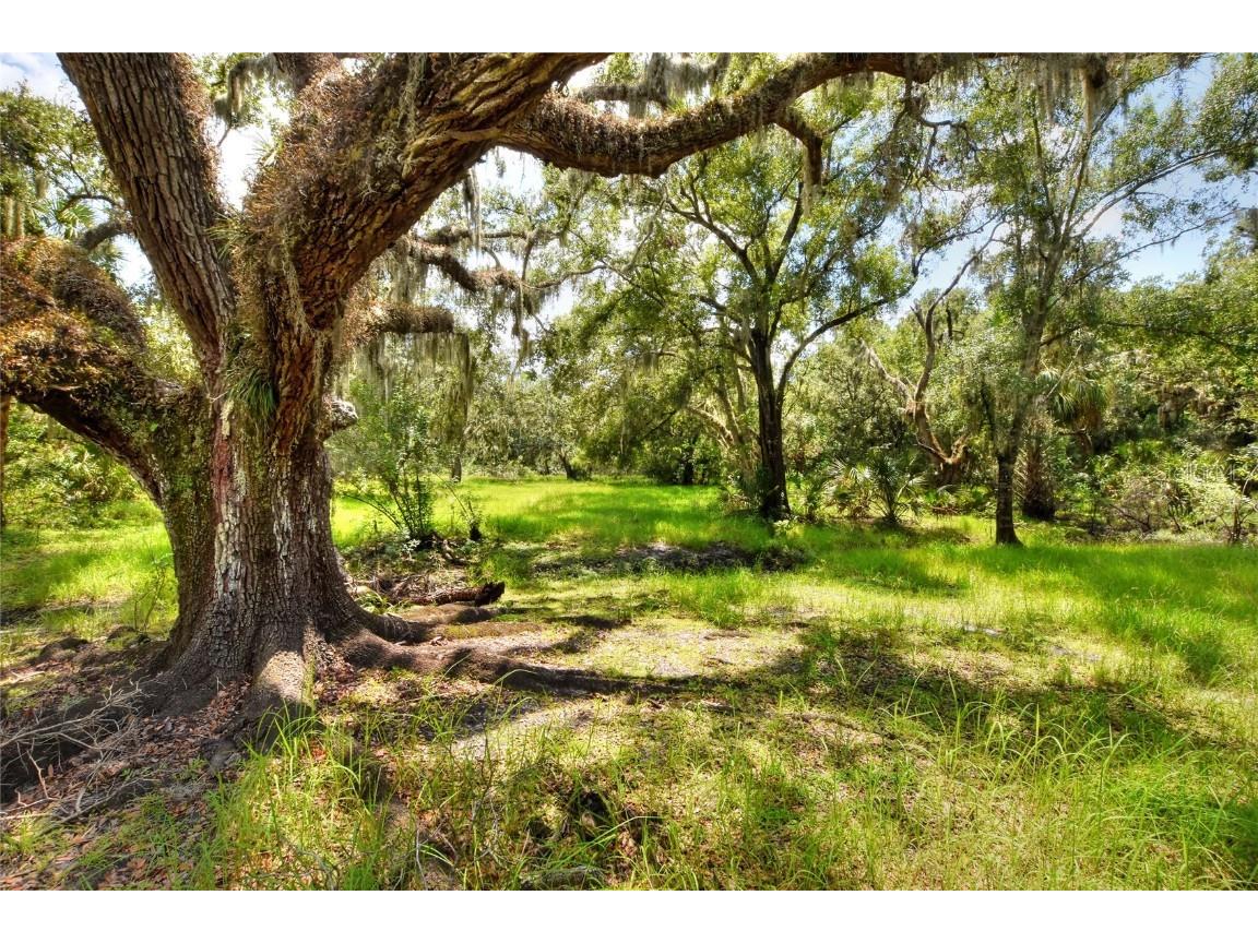 6838 Mary Lou Drive Riverview FL 33578 TB8421427 image20