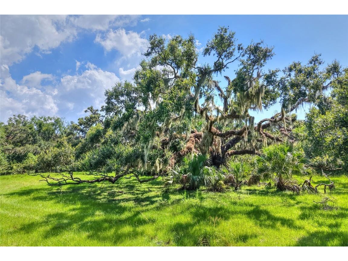 6838 Mary Lou Drive Riverview FL 33578 TB8421427 image21