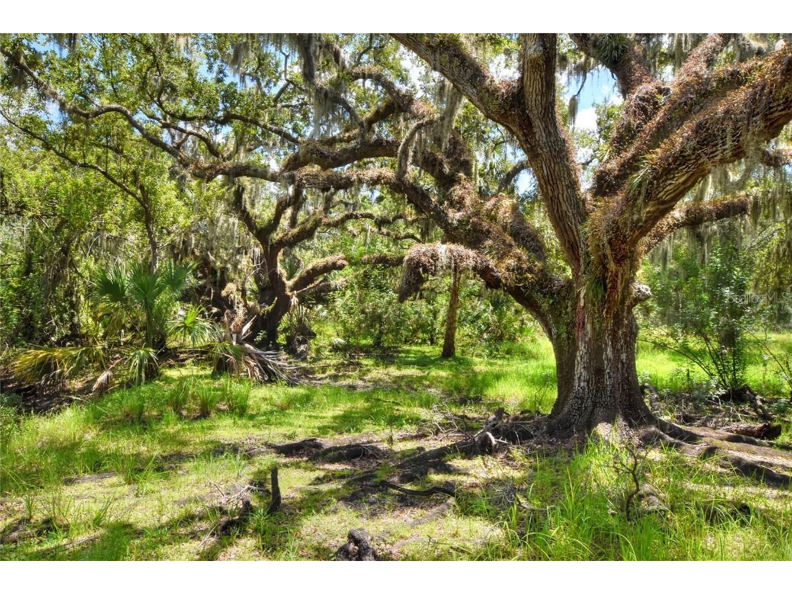 6838 Mary Lou Drive Riverview FL 33578 TB8421427 image22